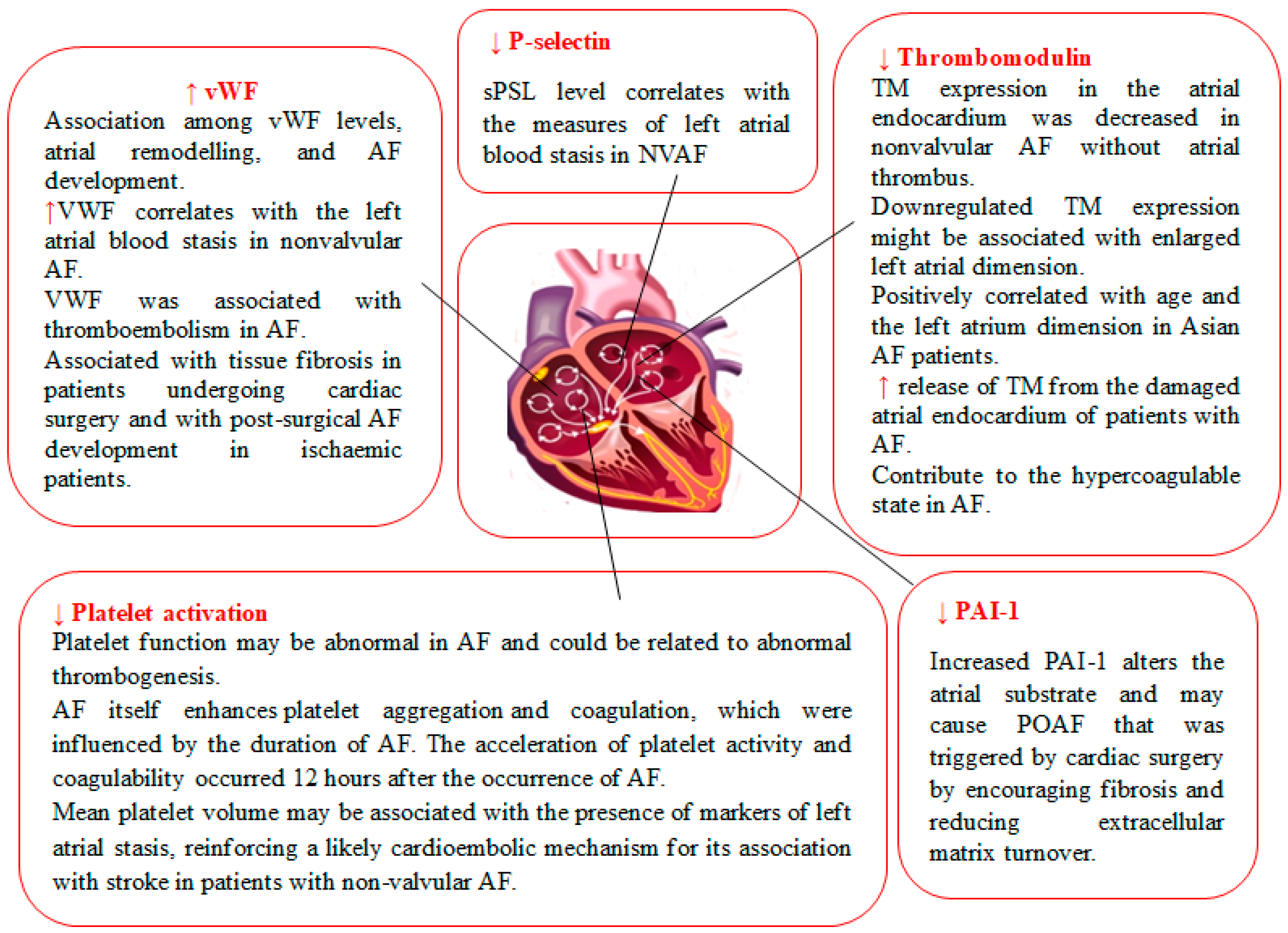 Biomedicines 12 00274 g001
