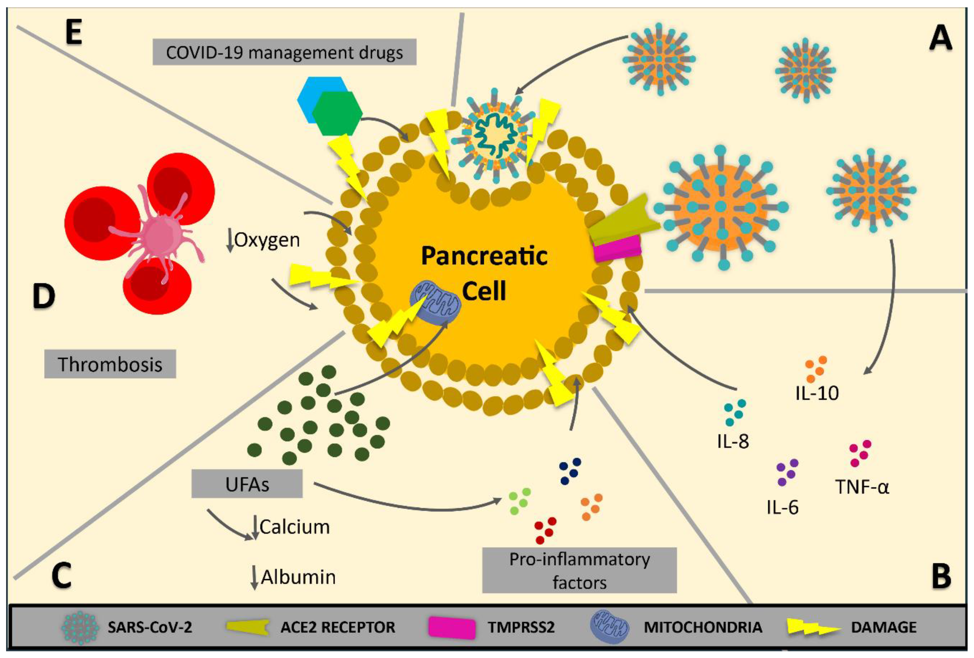 Biomedicines 12 00283 g001