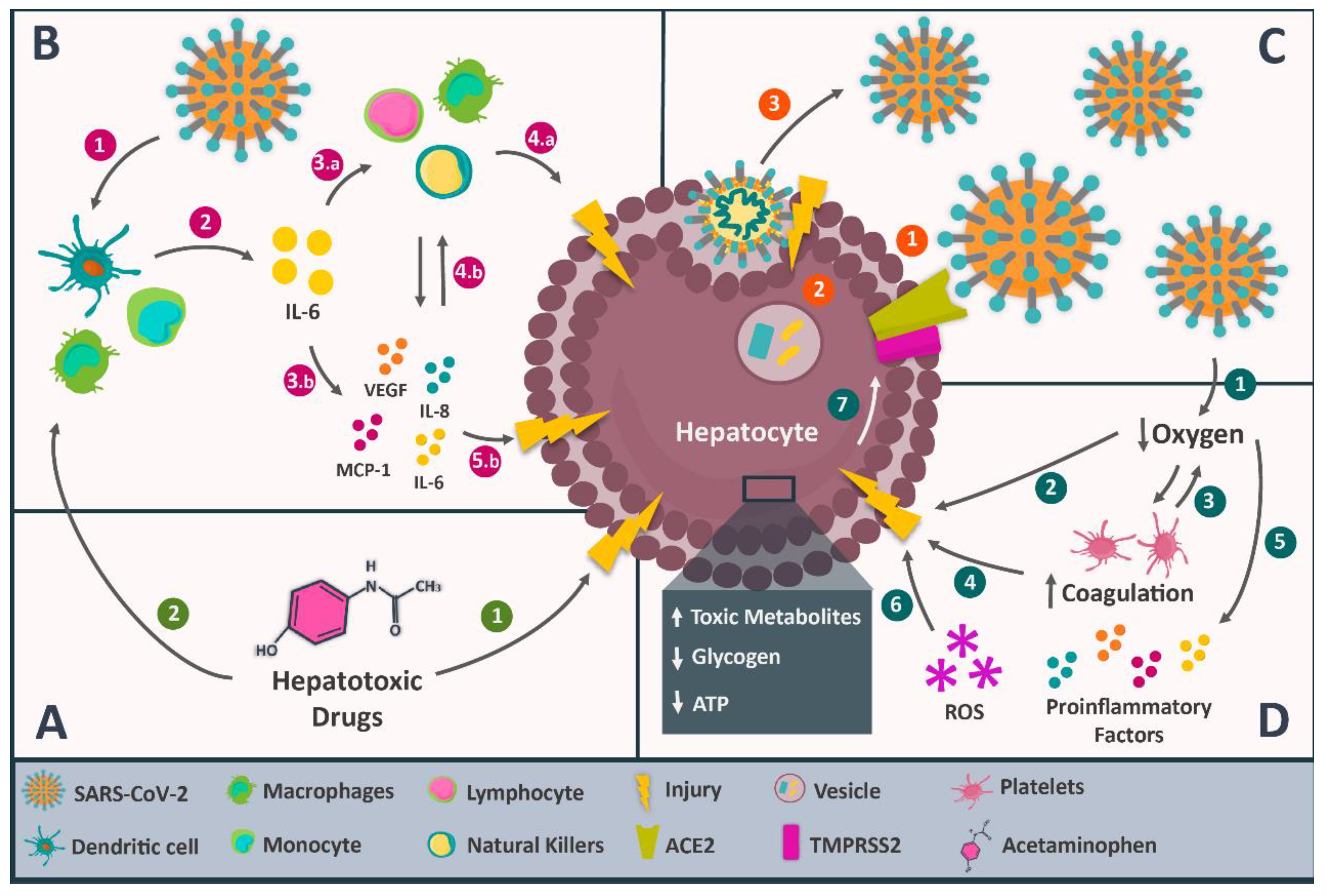 Biomedicines 12 00283 g002