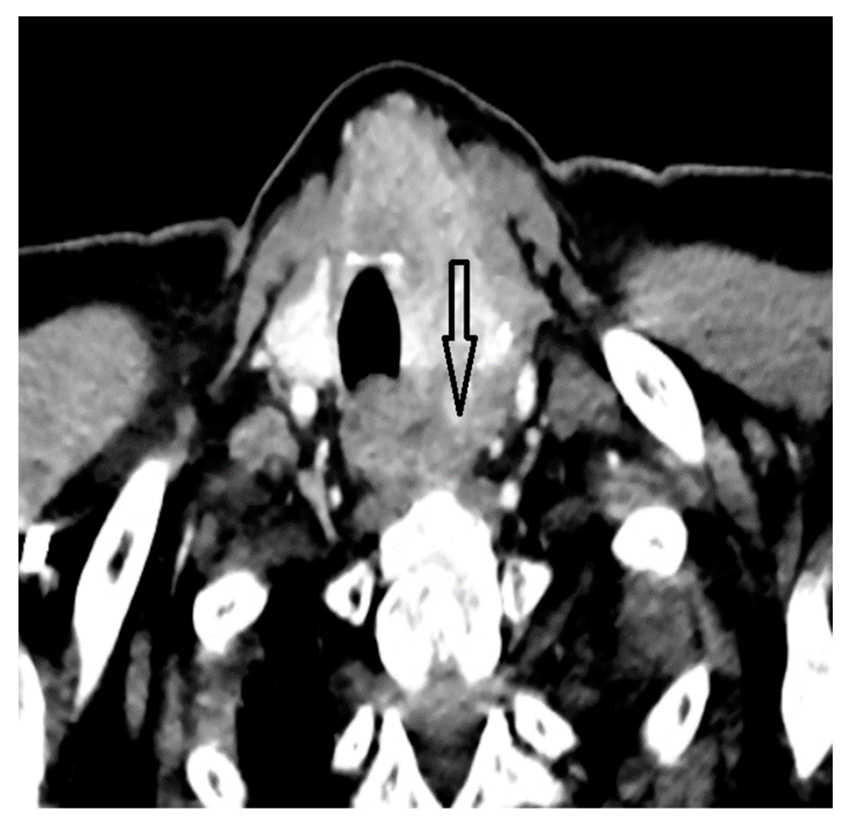 Biomedicines 12 00285 g001