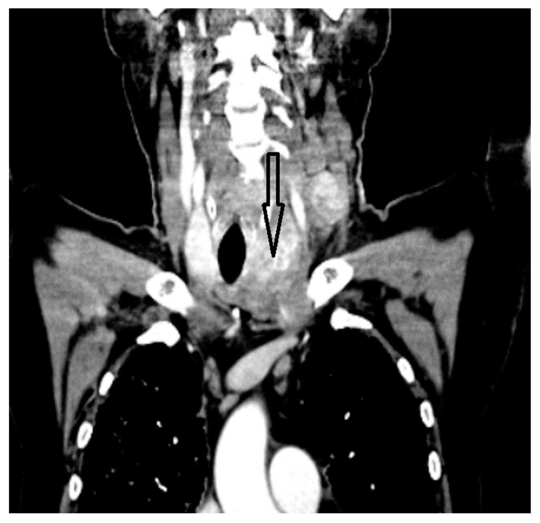 Biomedicines 12 00285 g002