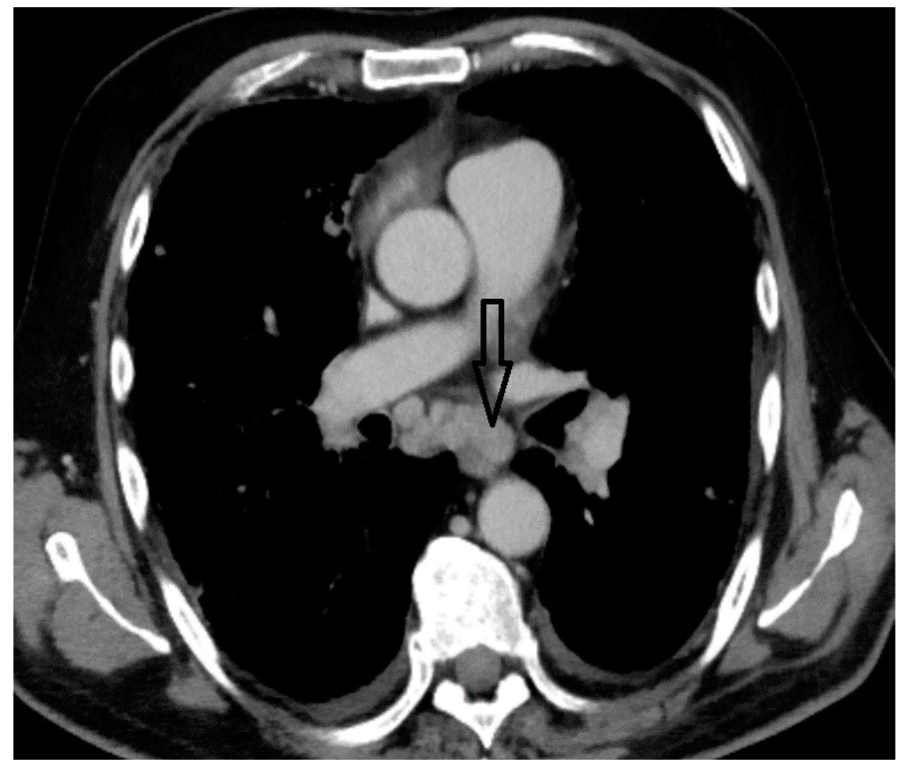 Biomedicines 12 00285 g004