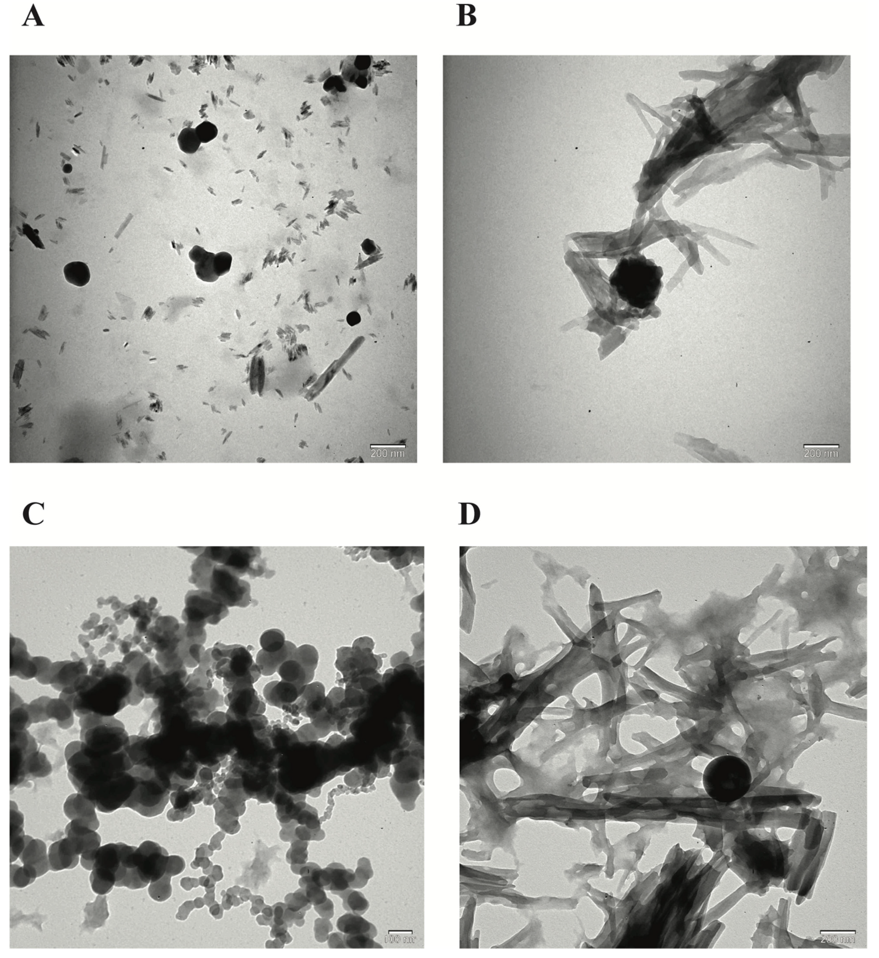Biomedicines 12 00287 g002