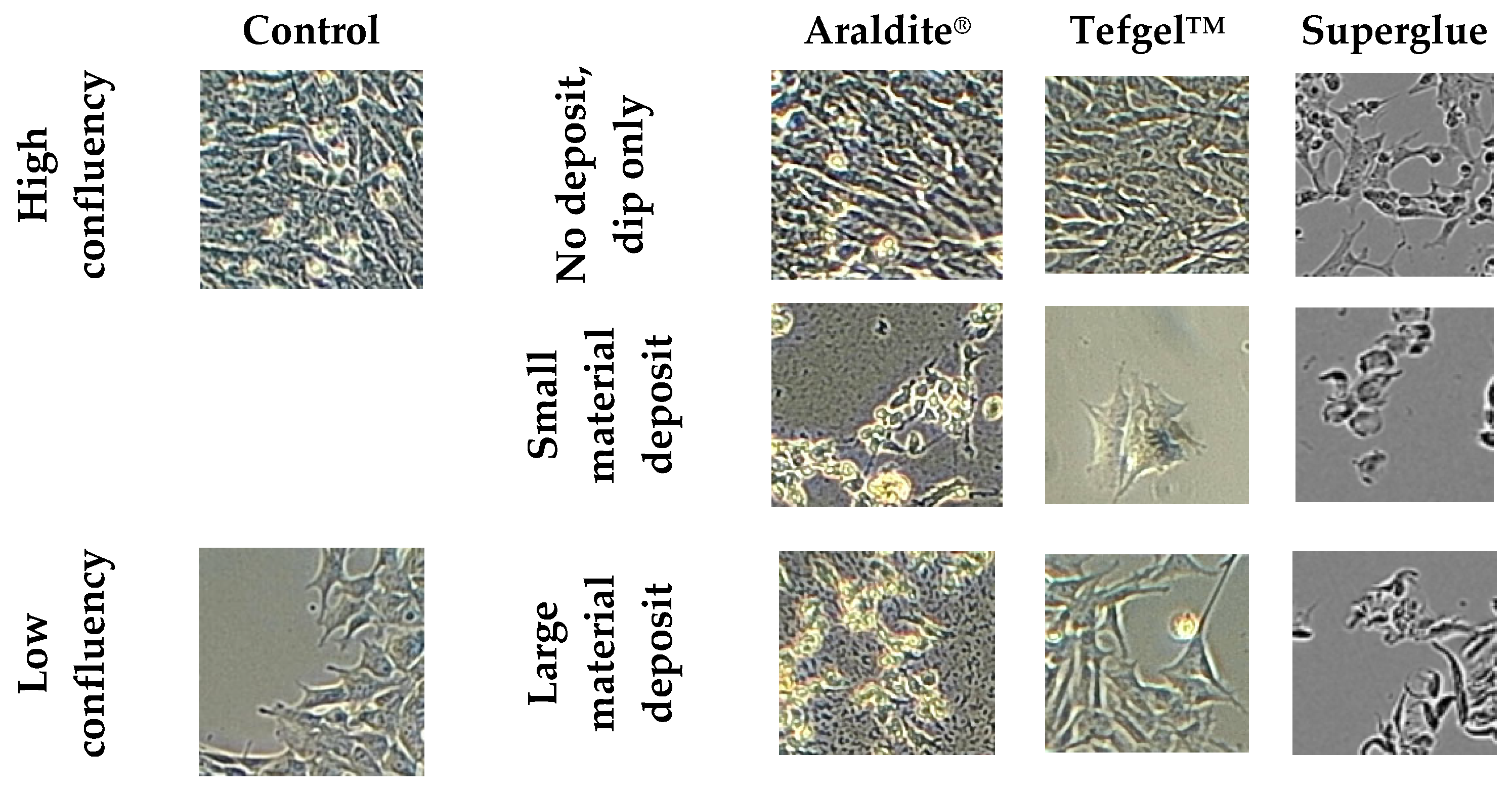 Development of a Cell Culture Chamber ... Biology Diagrams