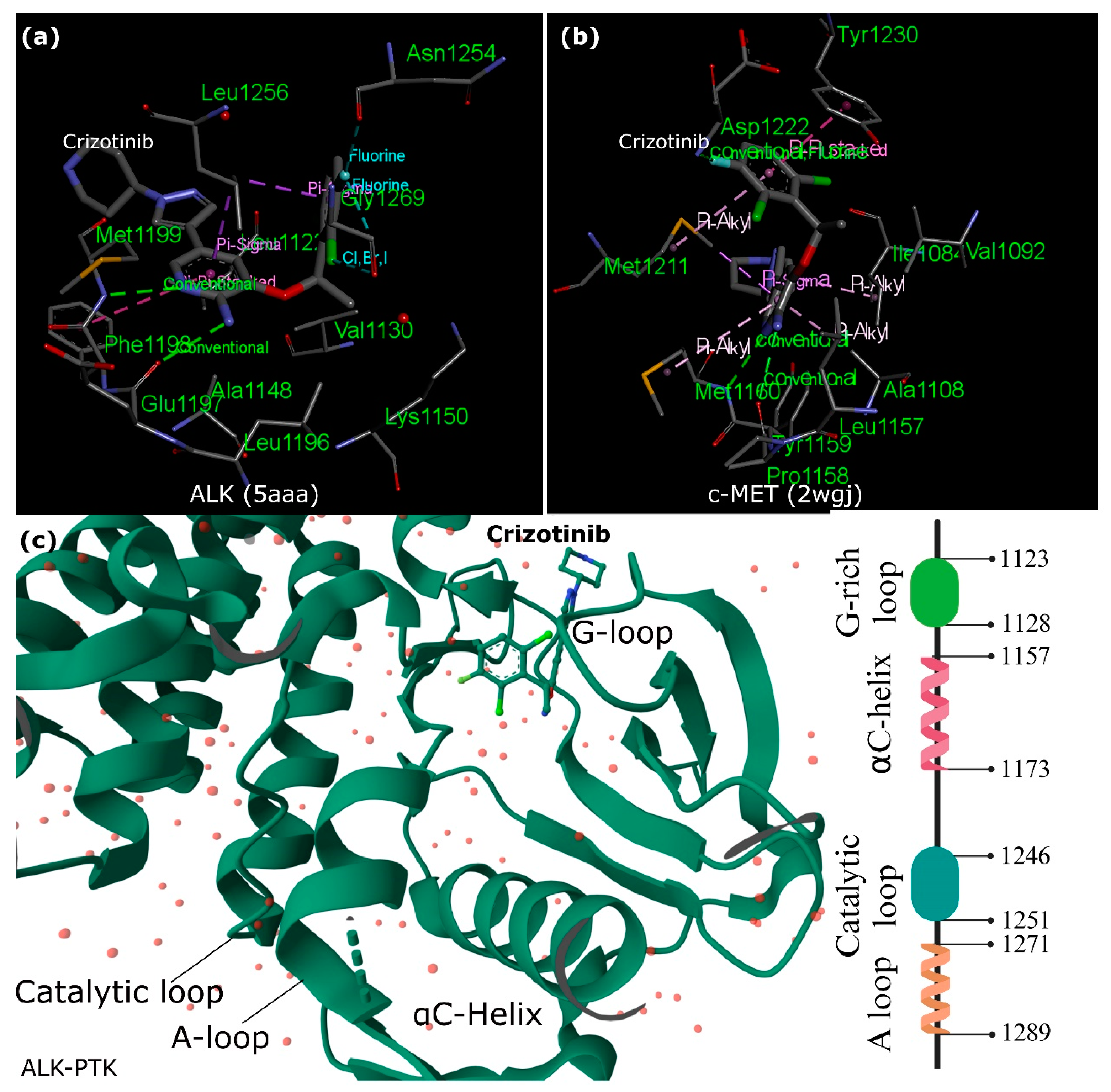 Unraveling the Potential of ALK-Targeted Therapies in Non