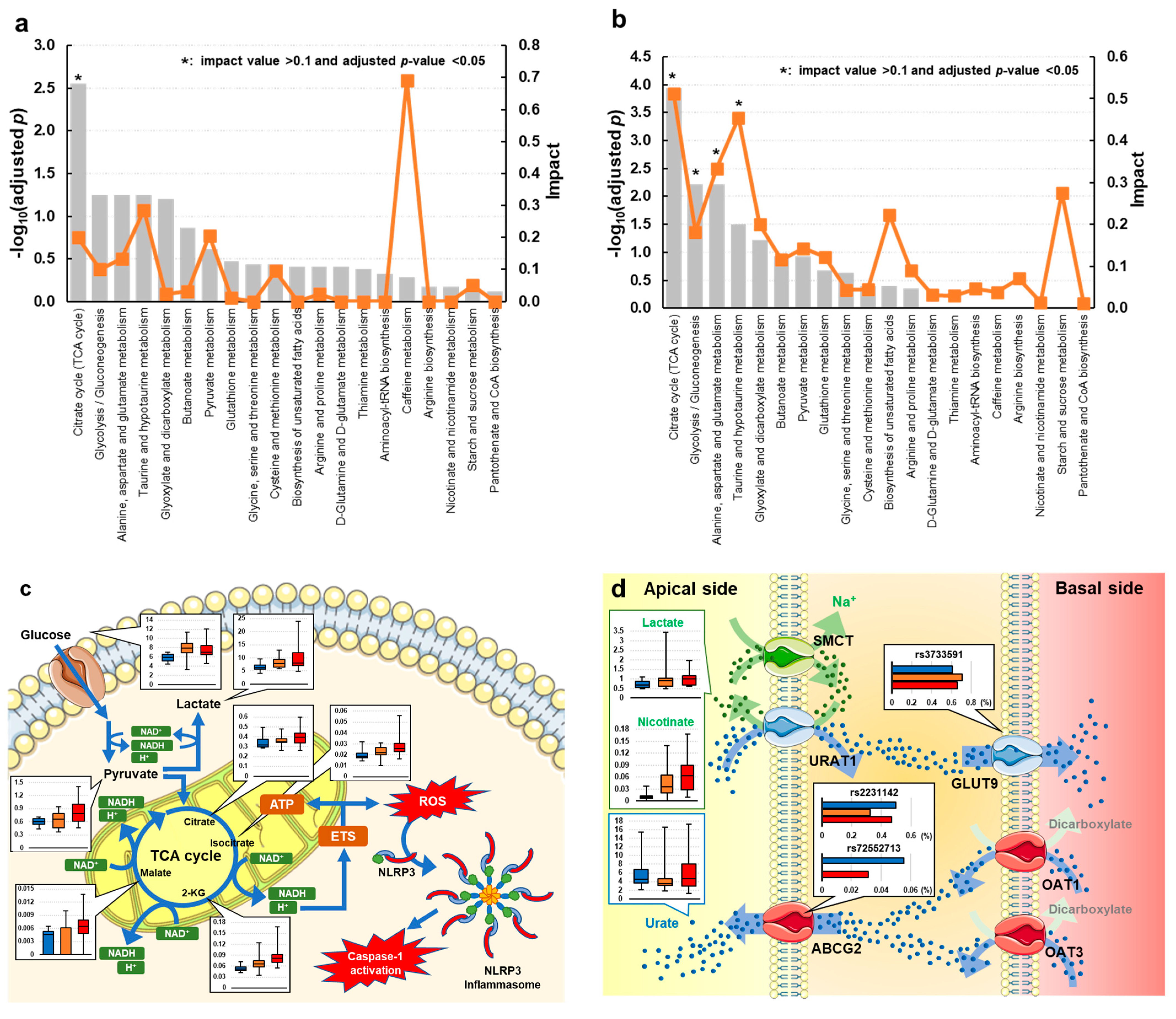 Biomedicines 12 00300 g002