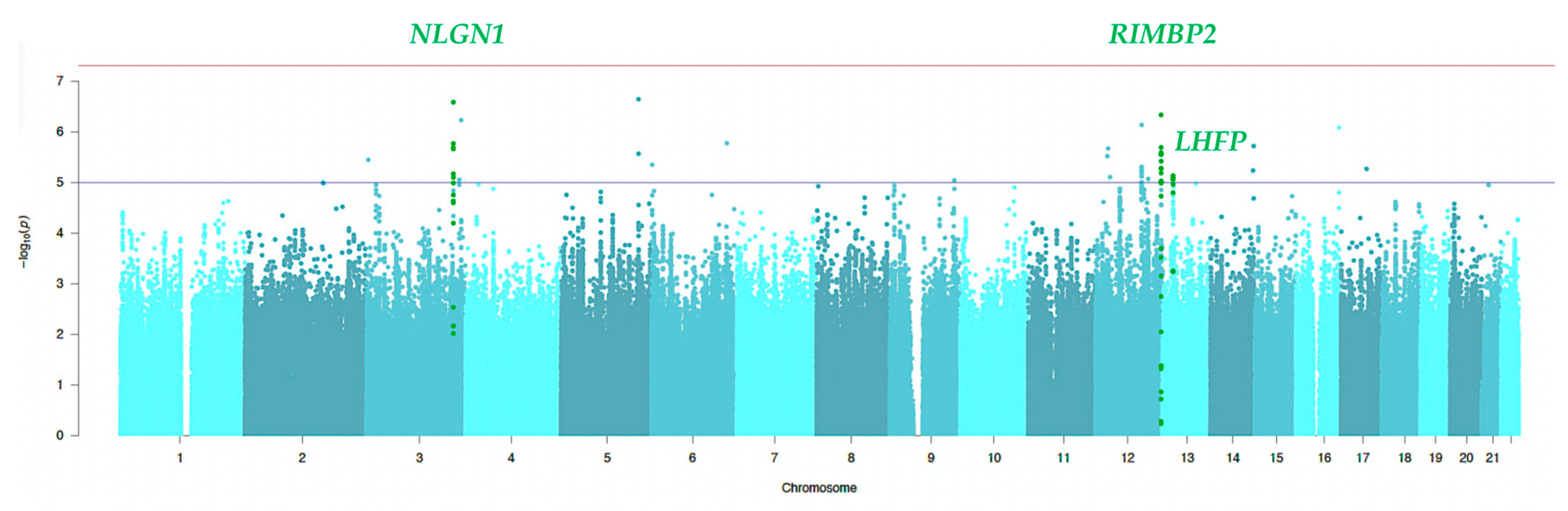 Biomedicines 12 00304 g002