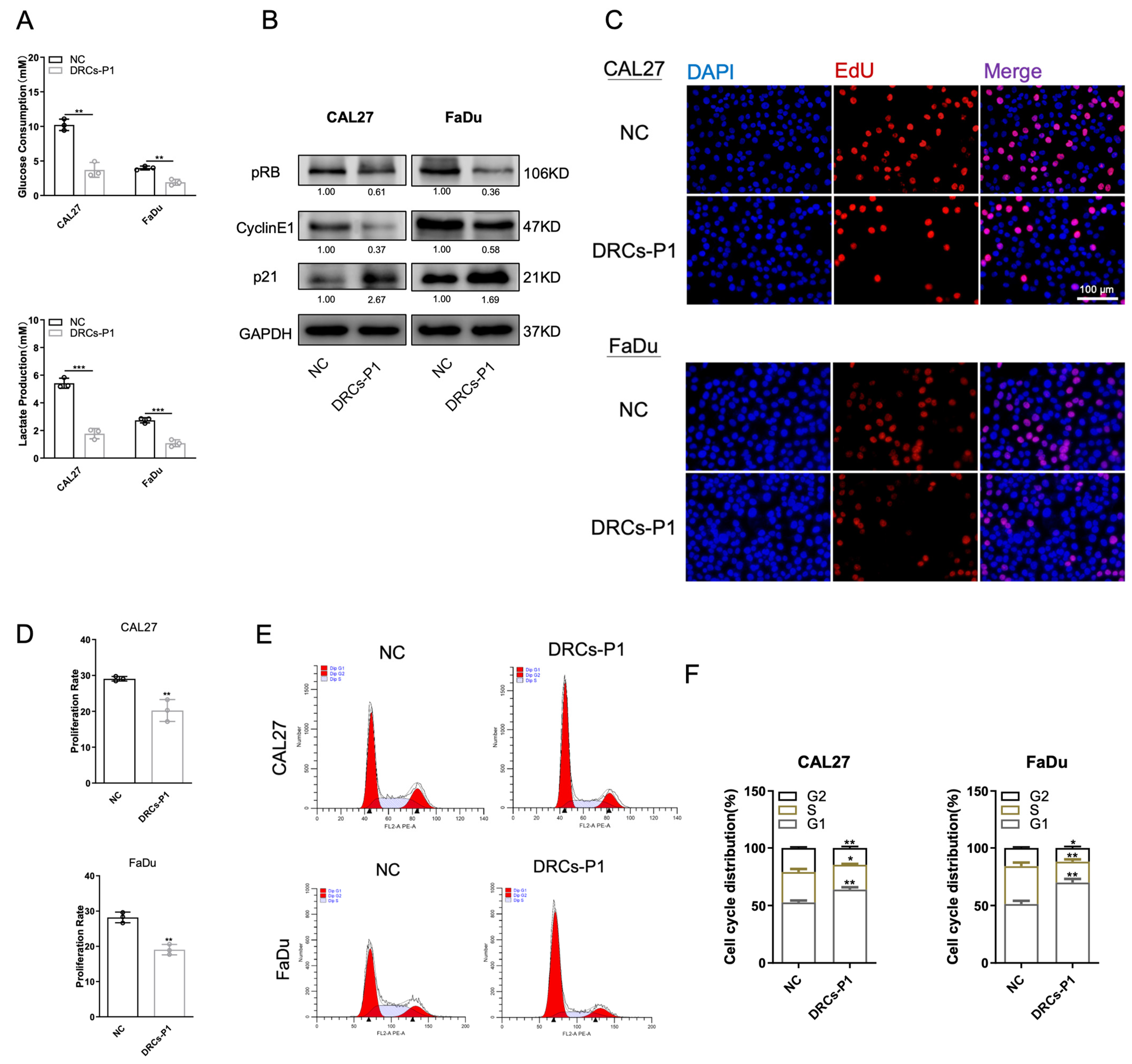 Biomedicines 12 00305 g002