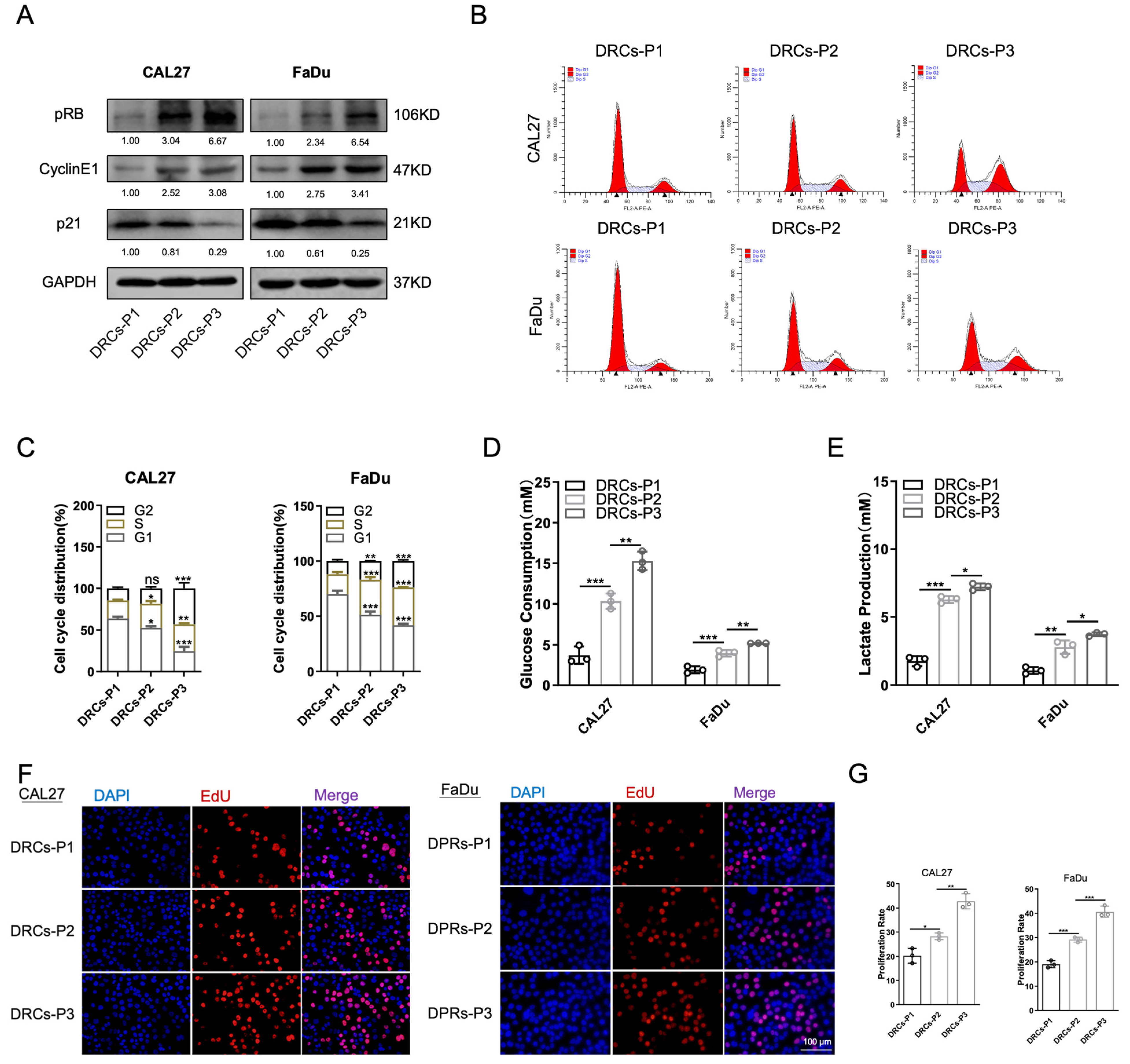 Biomedicines 12 00305 g003