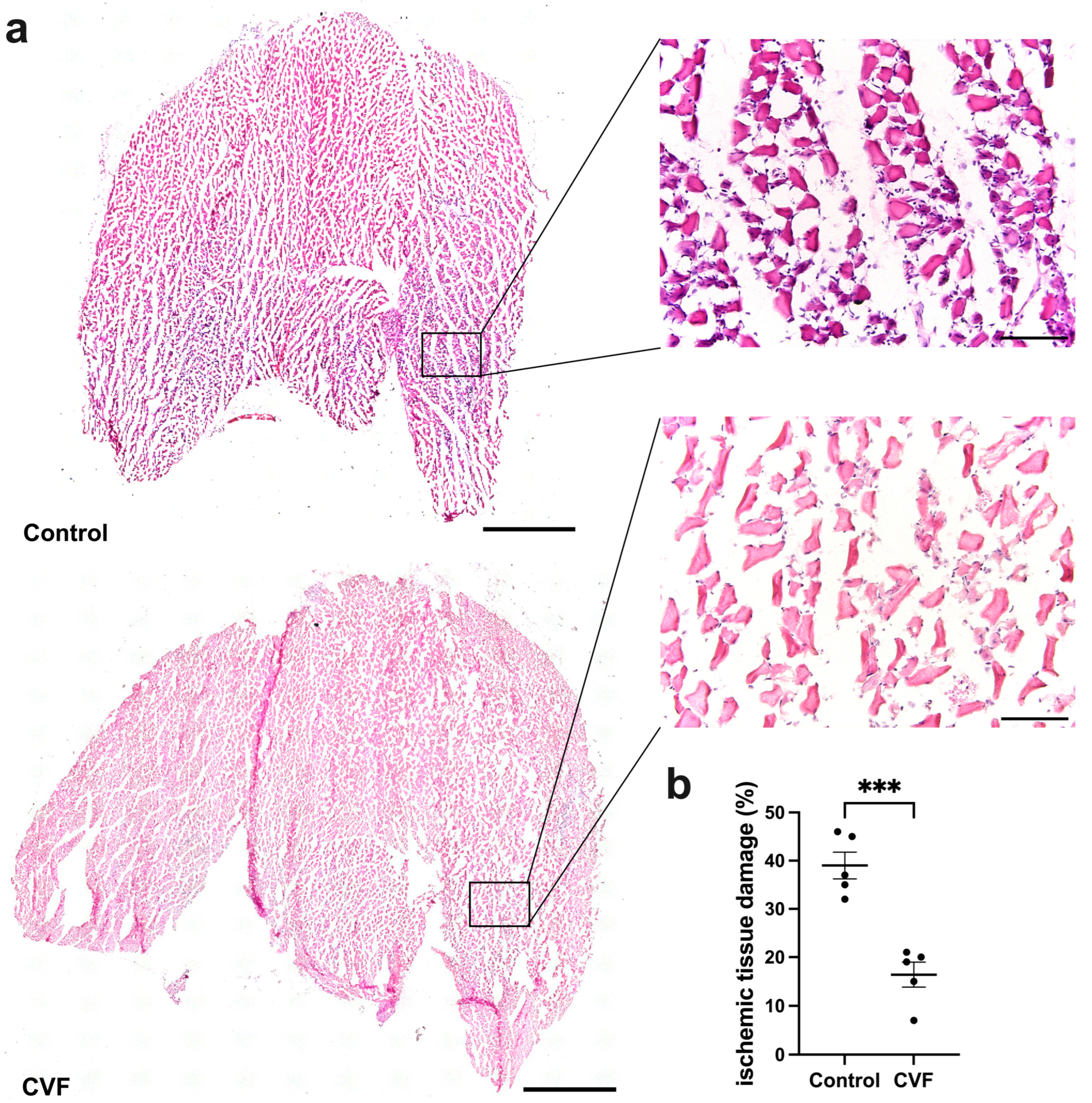 Biomedicines 12 00309 g001