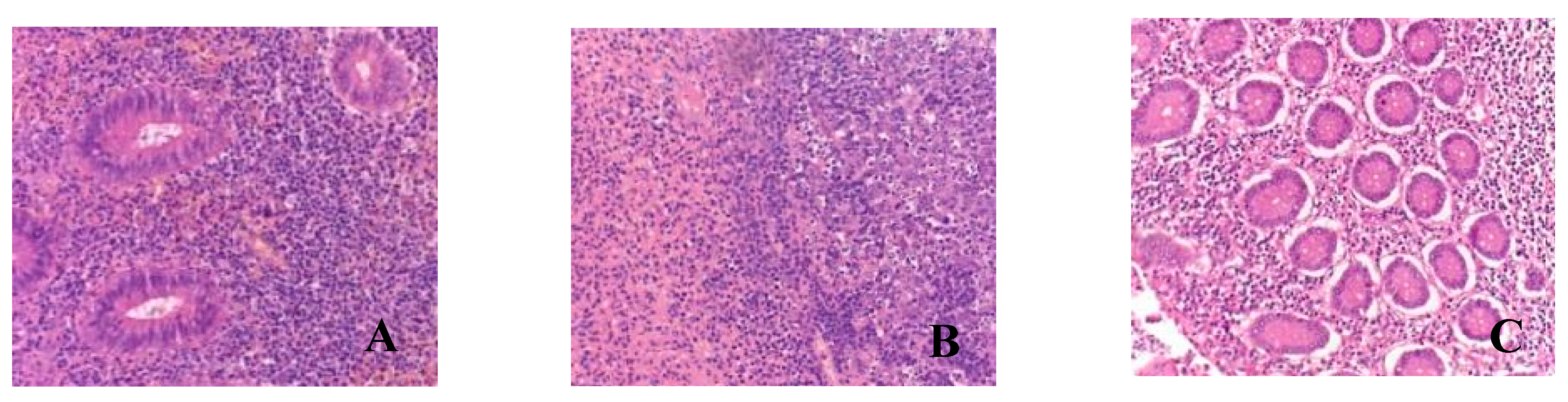 Biomedicines 12 00312 g001