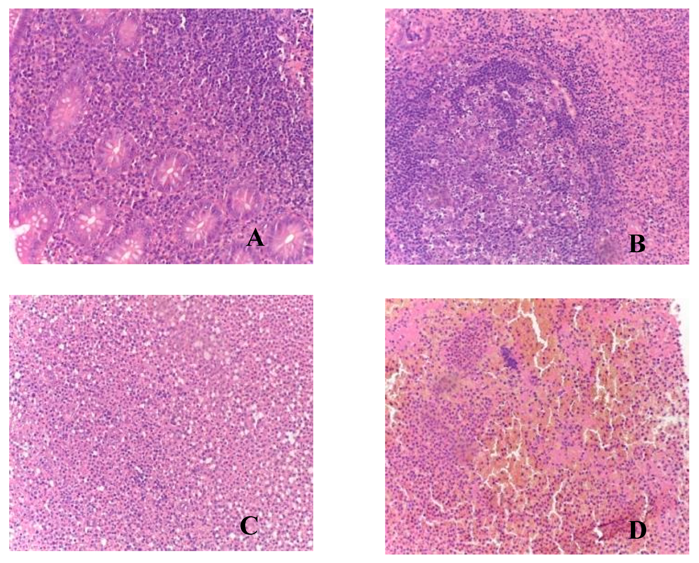 Biomedicines 12 00312 g002
