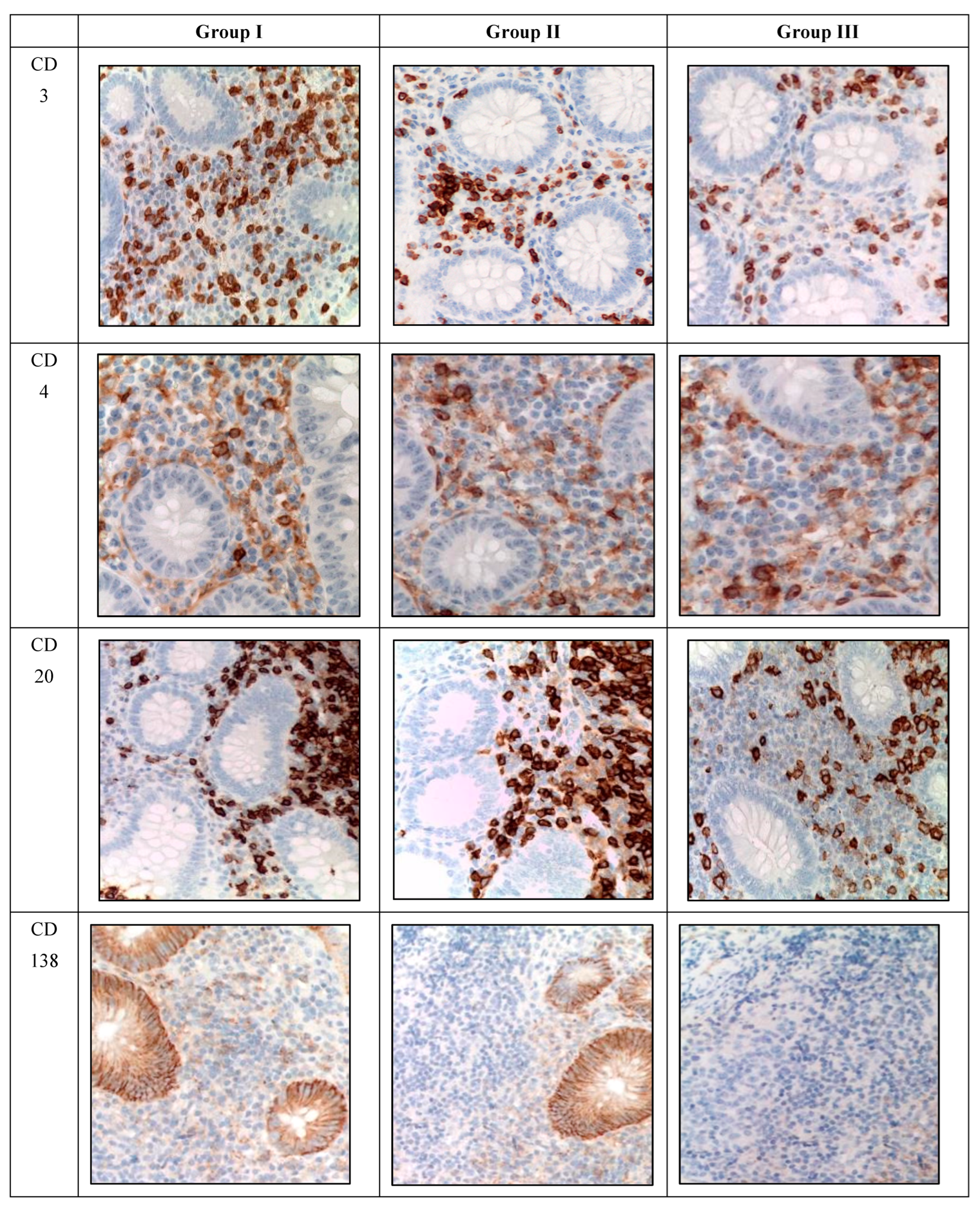 Biomedicines 12 00312 g003a