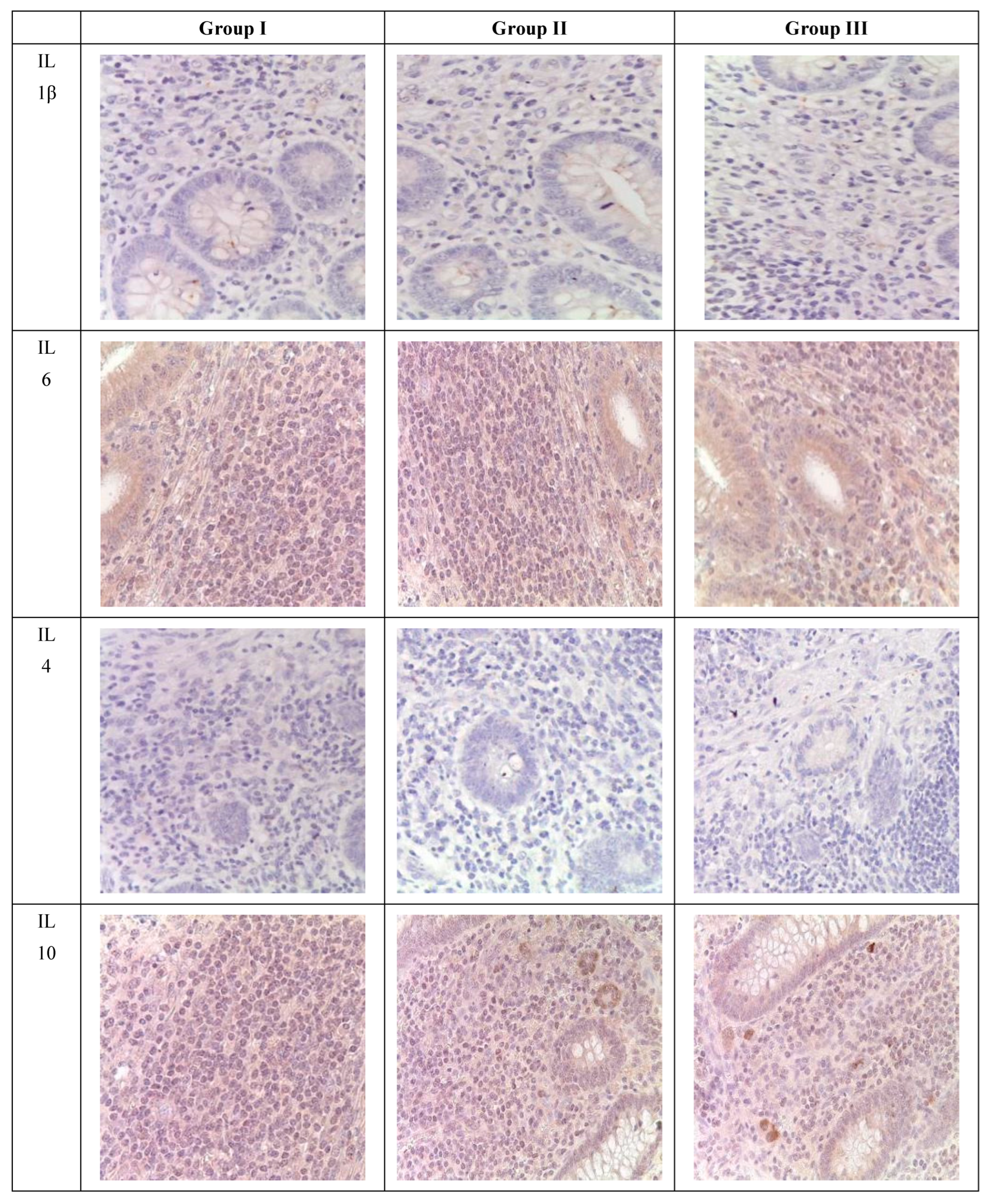 Biomedicines 12 00312 g004