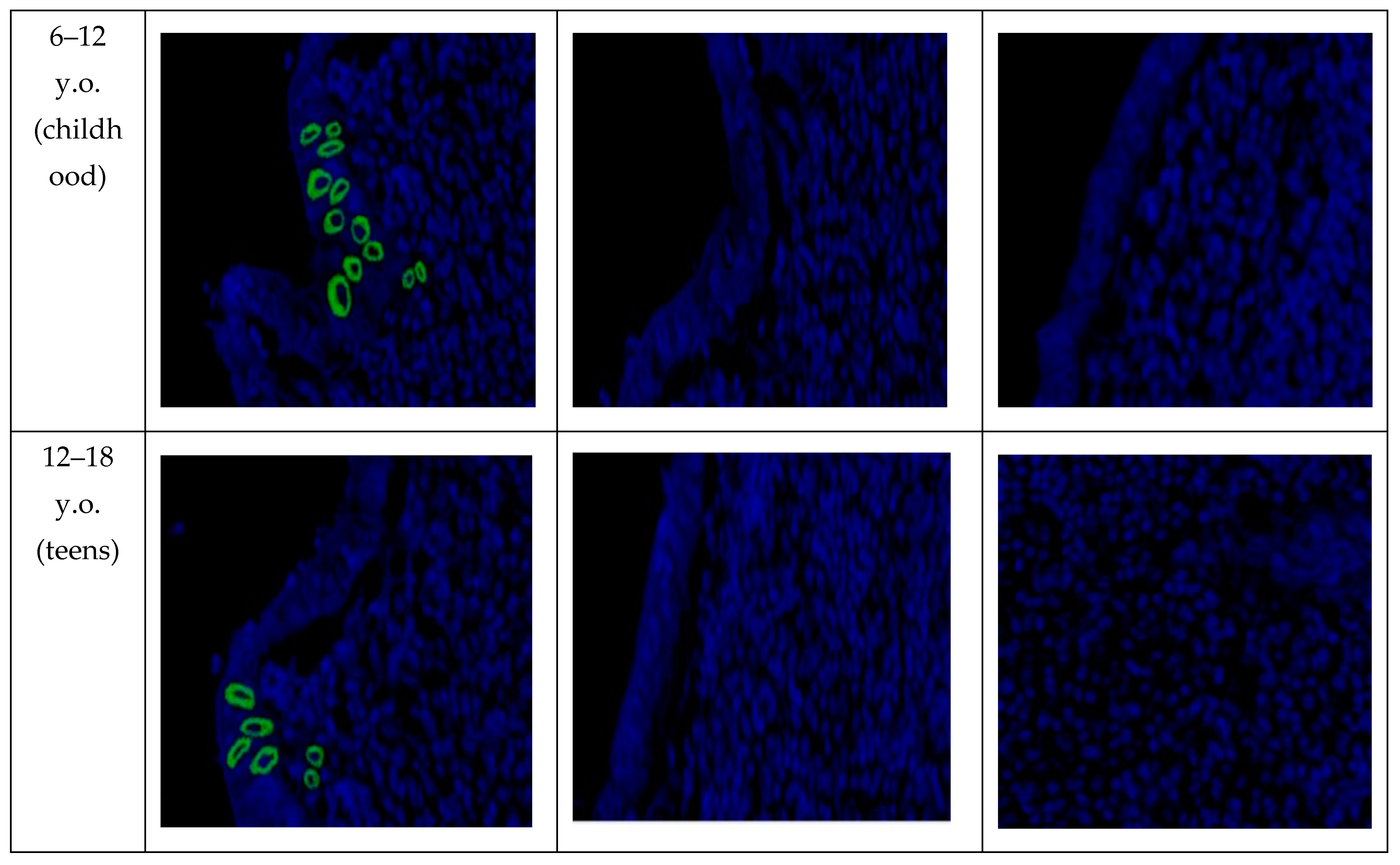 Biomedicines 12 00312 g005b