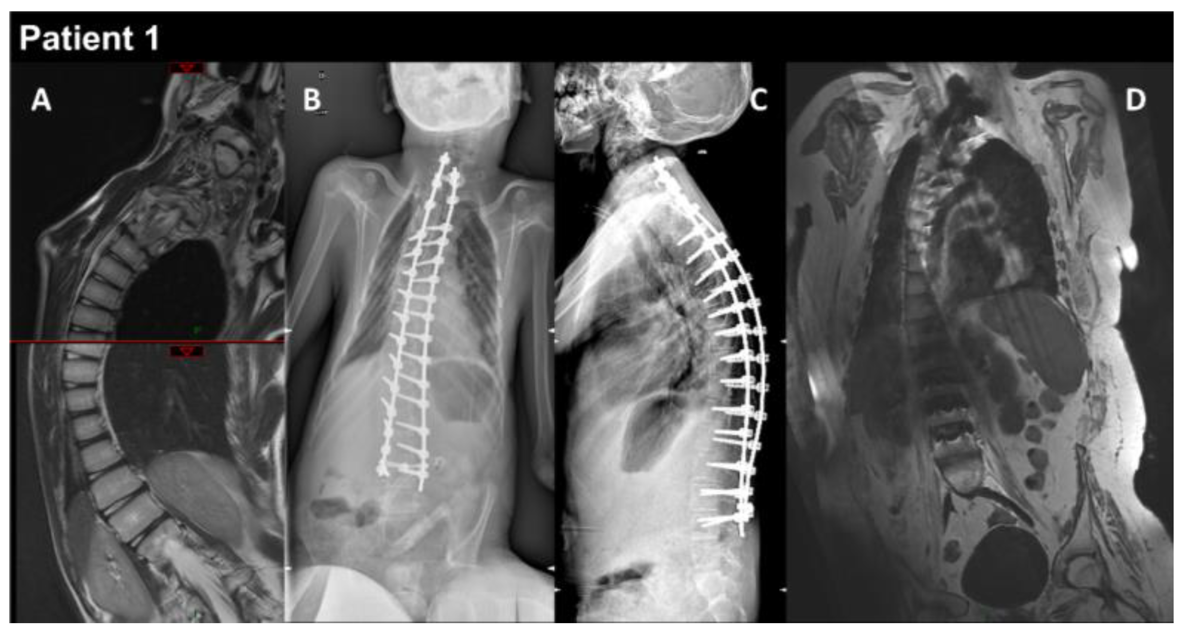 Biomedicines 12 00322 g001