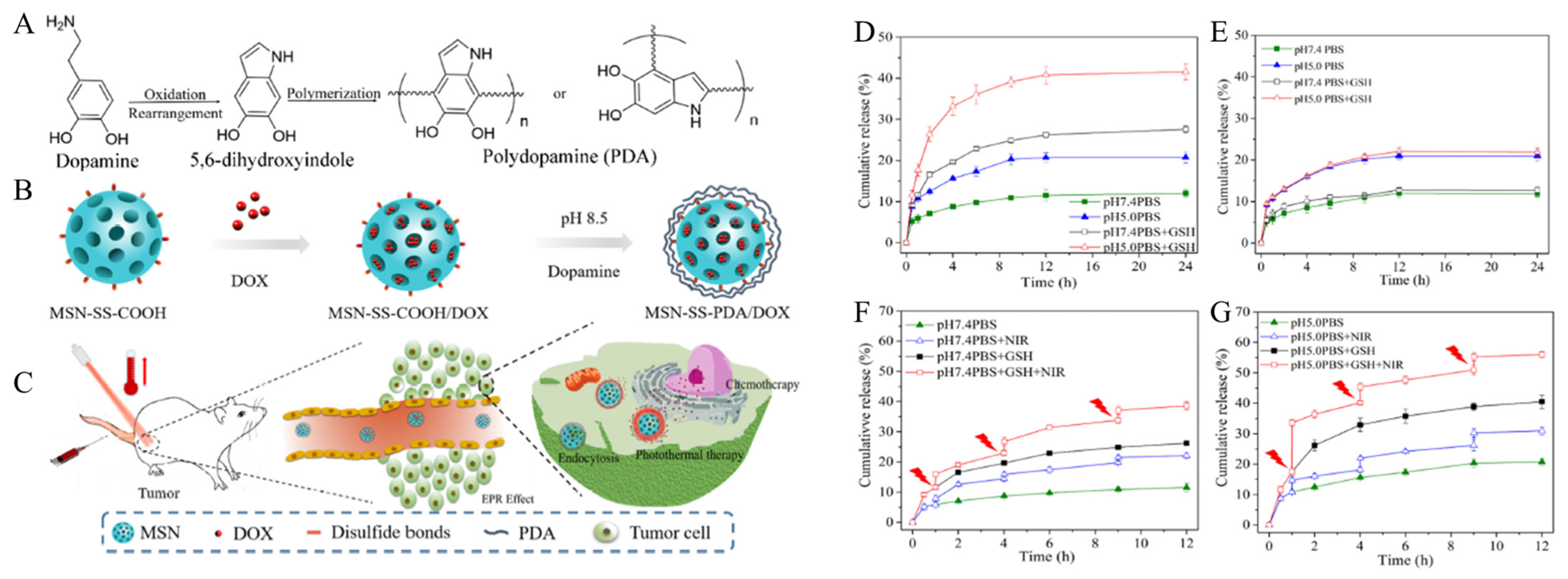 Biomedicines 12 00326 g002 Biomedicines 12 00326 g002