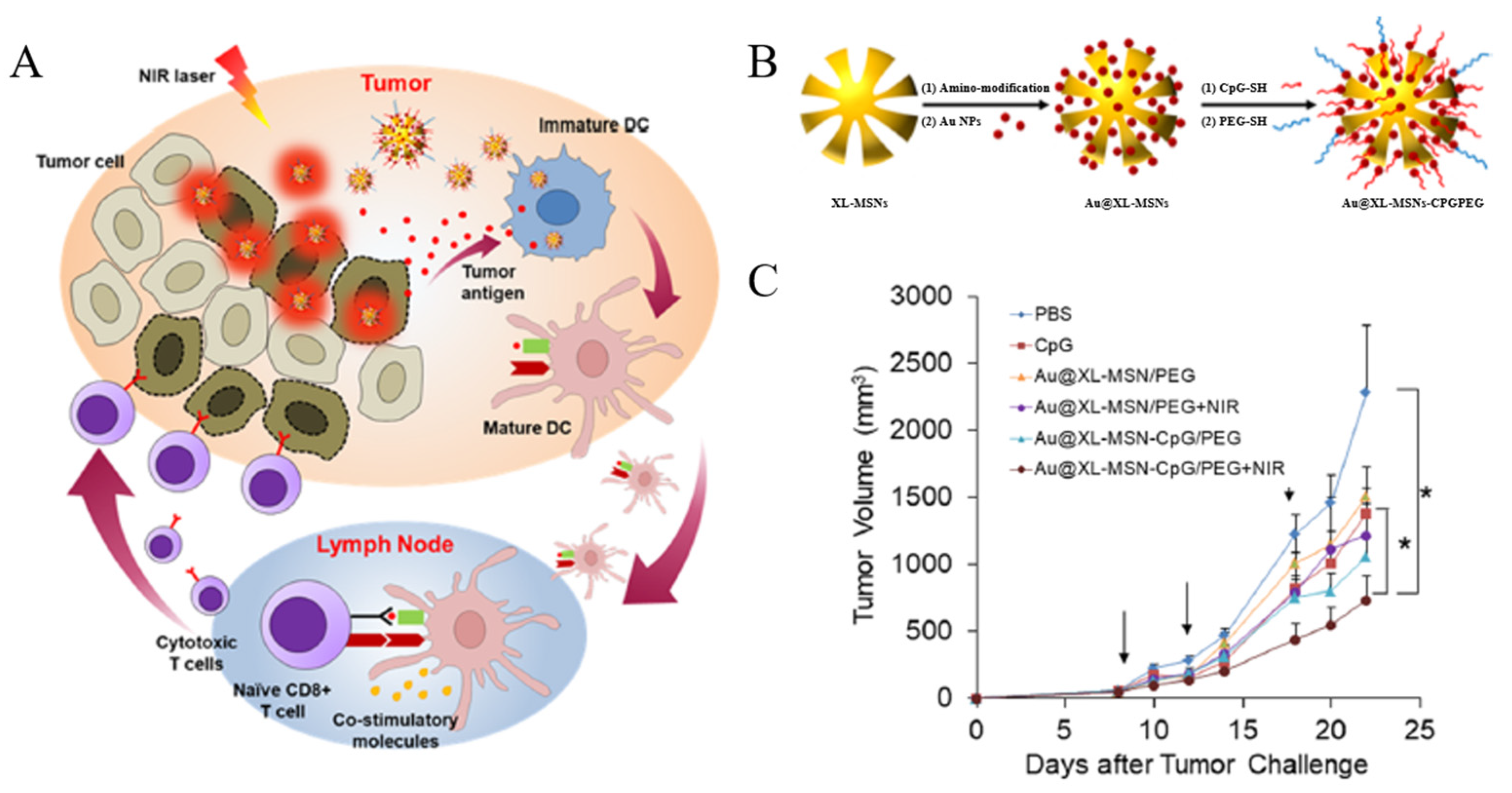 Biomedicines 12 00326 g004 Biomedicines 12 00326 g004
