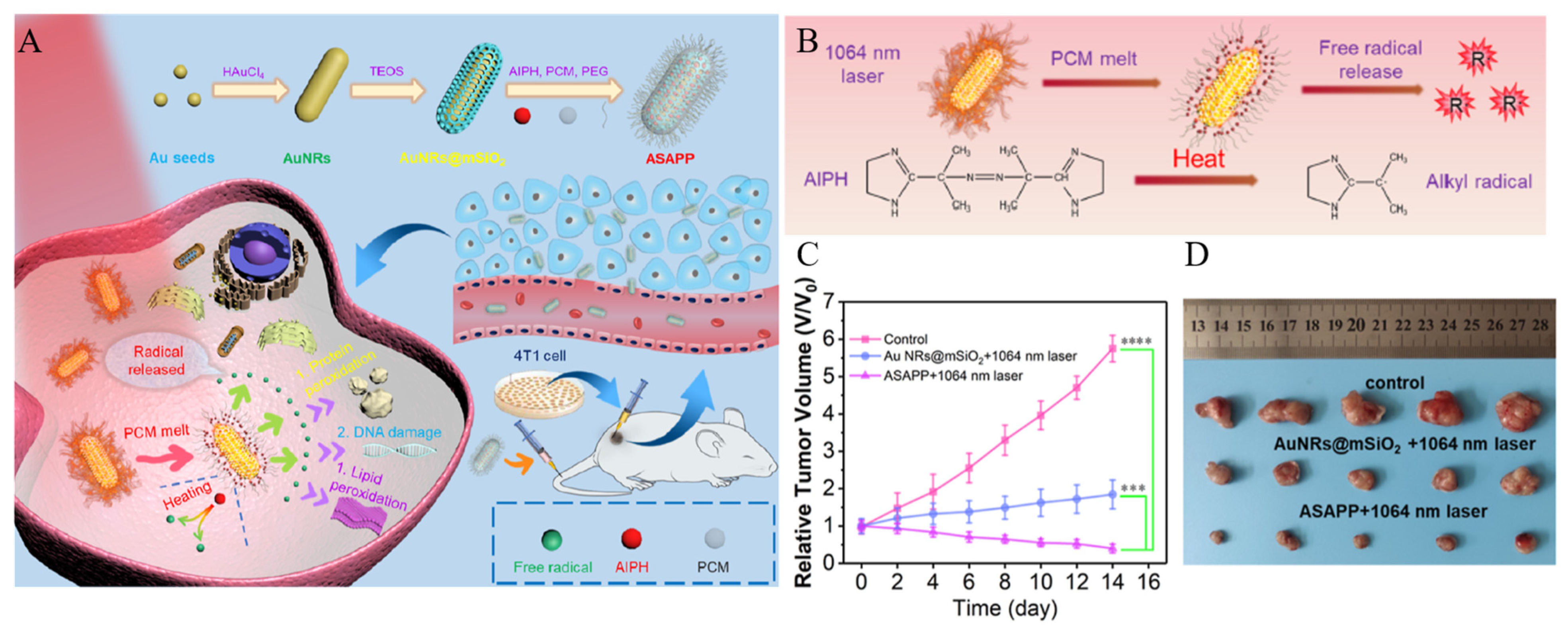 Biomedicines 12 00326 g008 Biomedicines 12 00326 g008