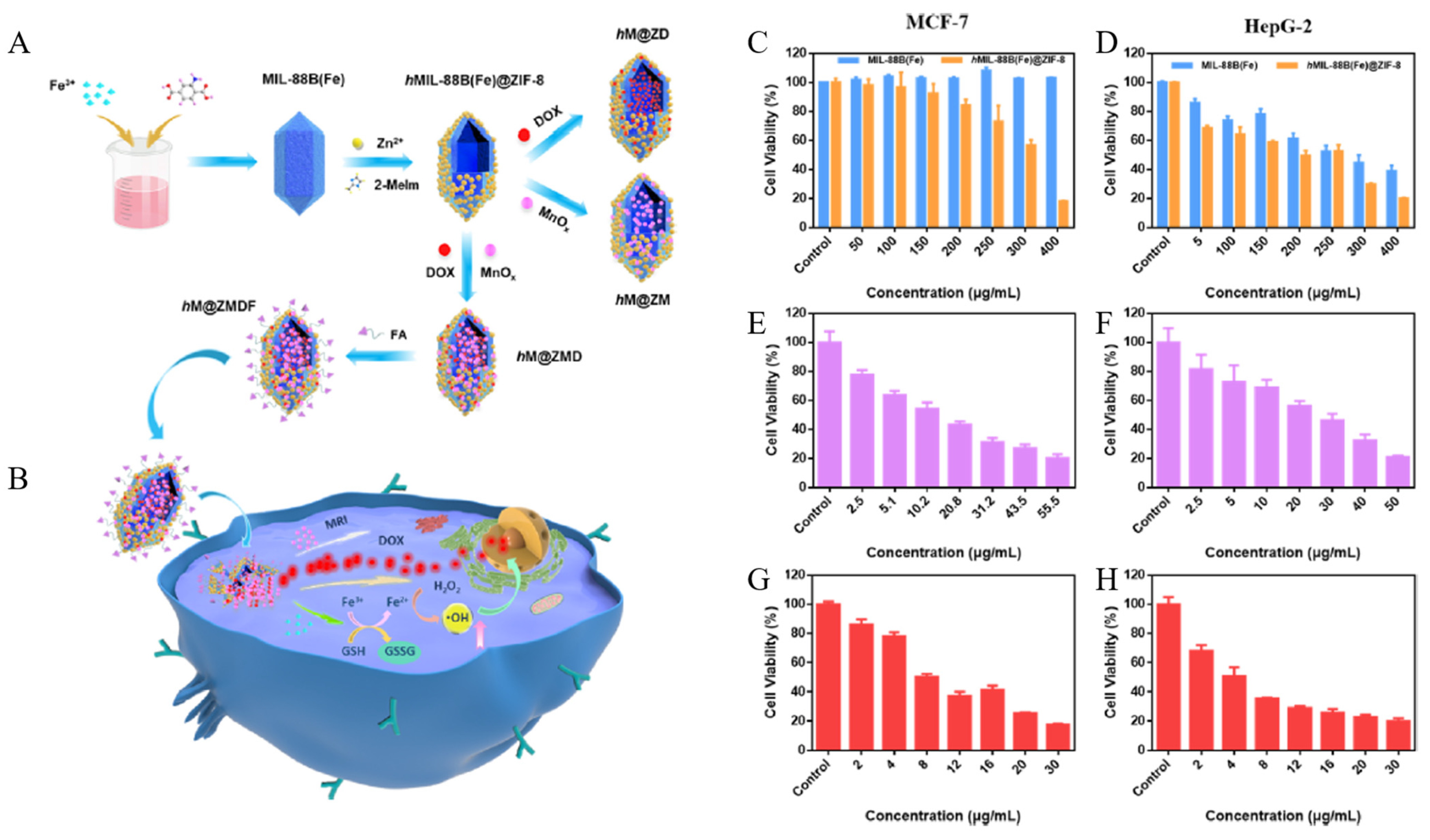 Biomedicines 12 00326 g010 Biomedicines 12 00326 g010