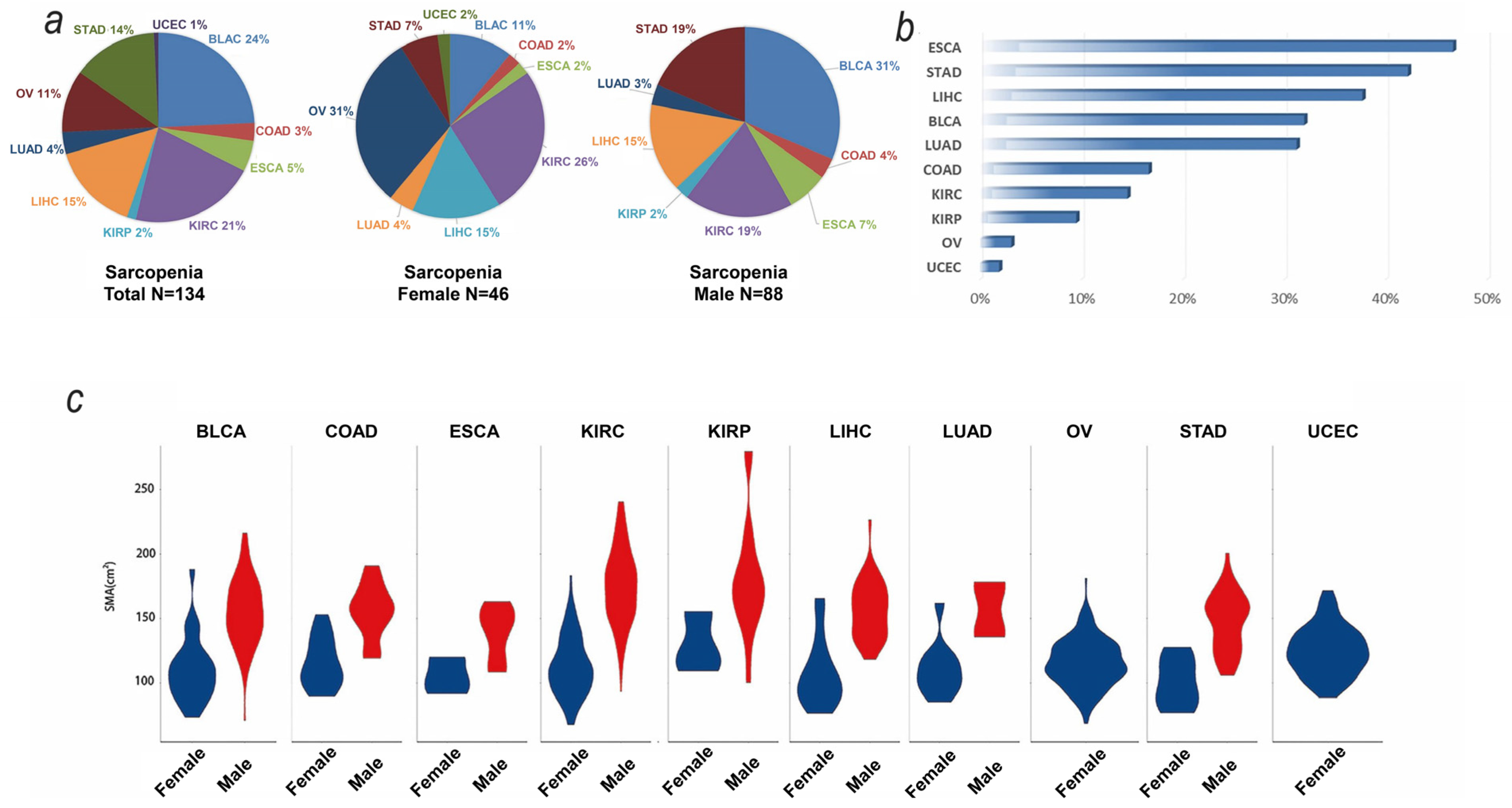 Biomedicines 12 00329 g002