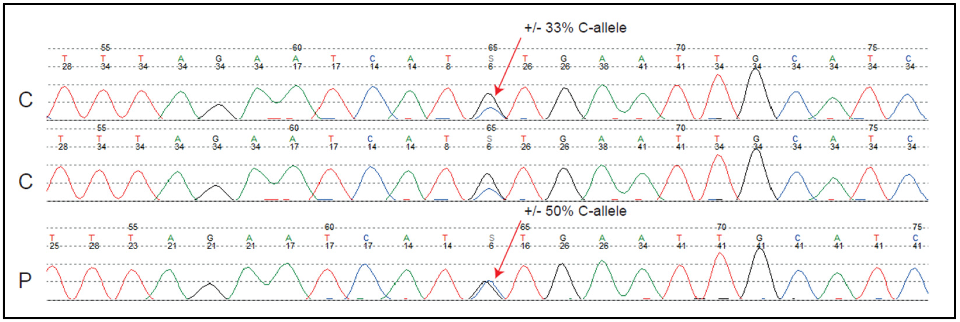 Biomedicines 12 00330 g001