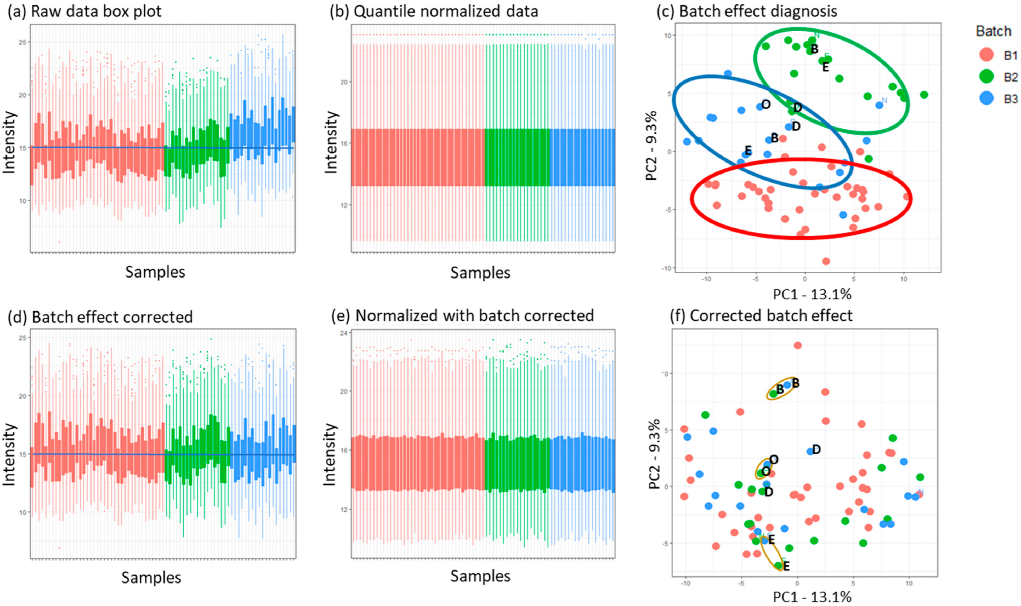 Biomedicines 12 00333 g002