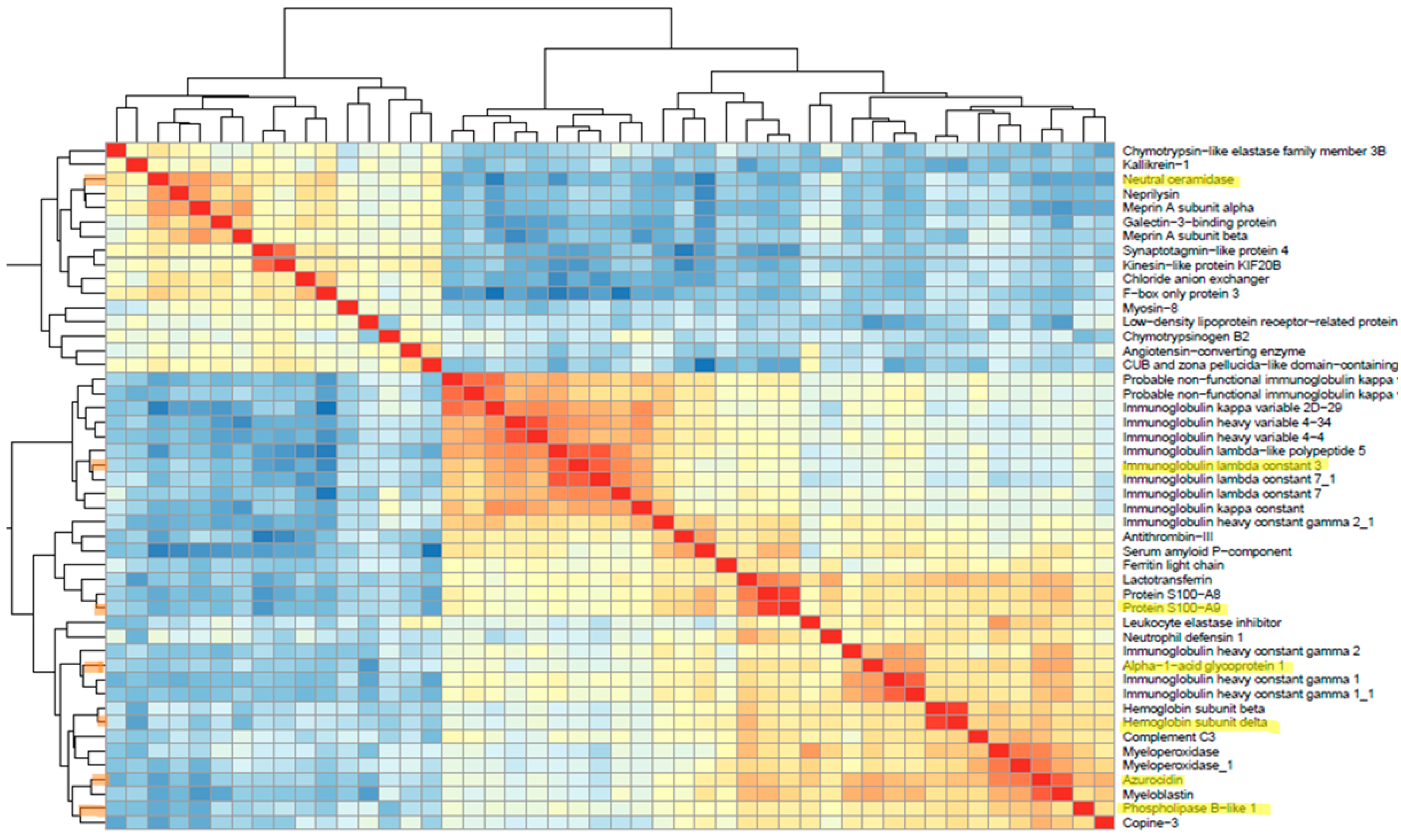 Biomedicines 12 00333 g005