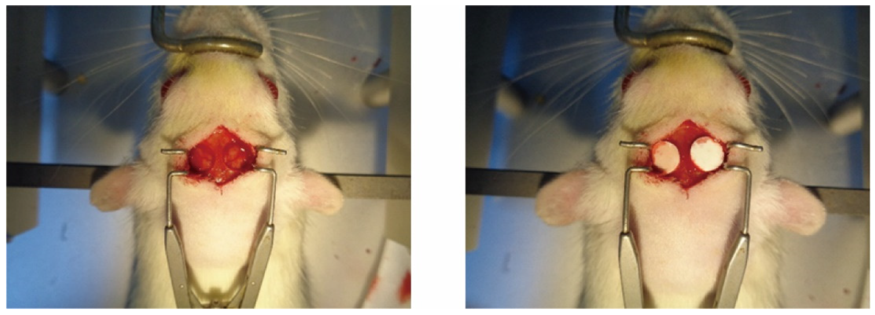 Biomedicines 12 00344 g001