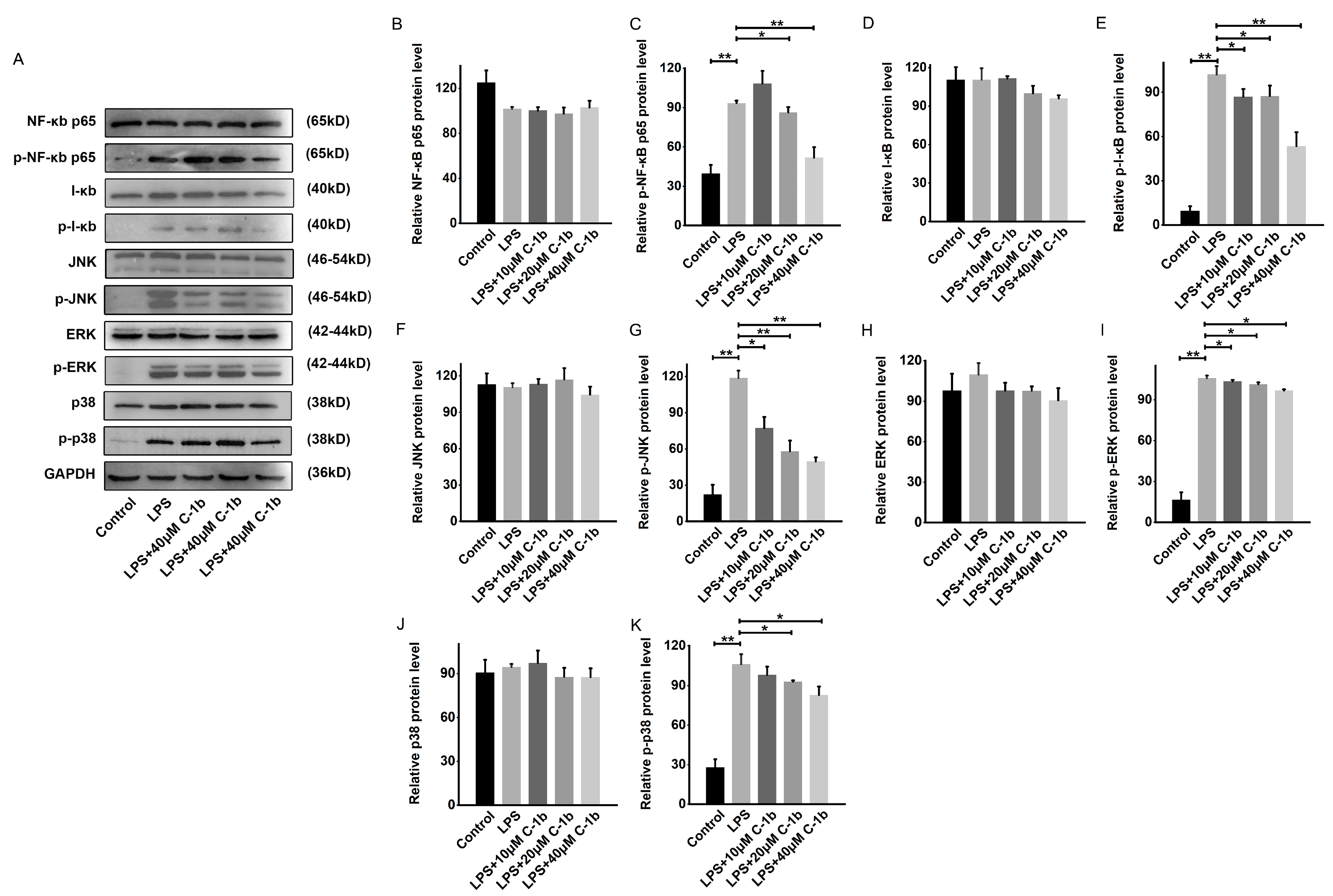 Biomedicines 12 00345 g003