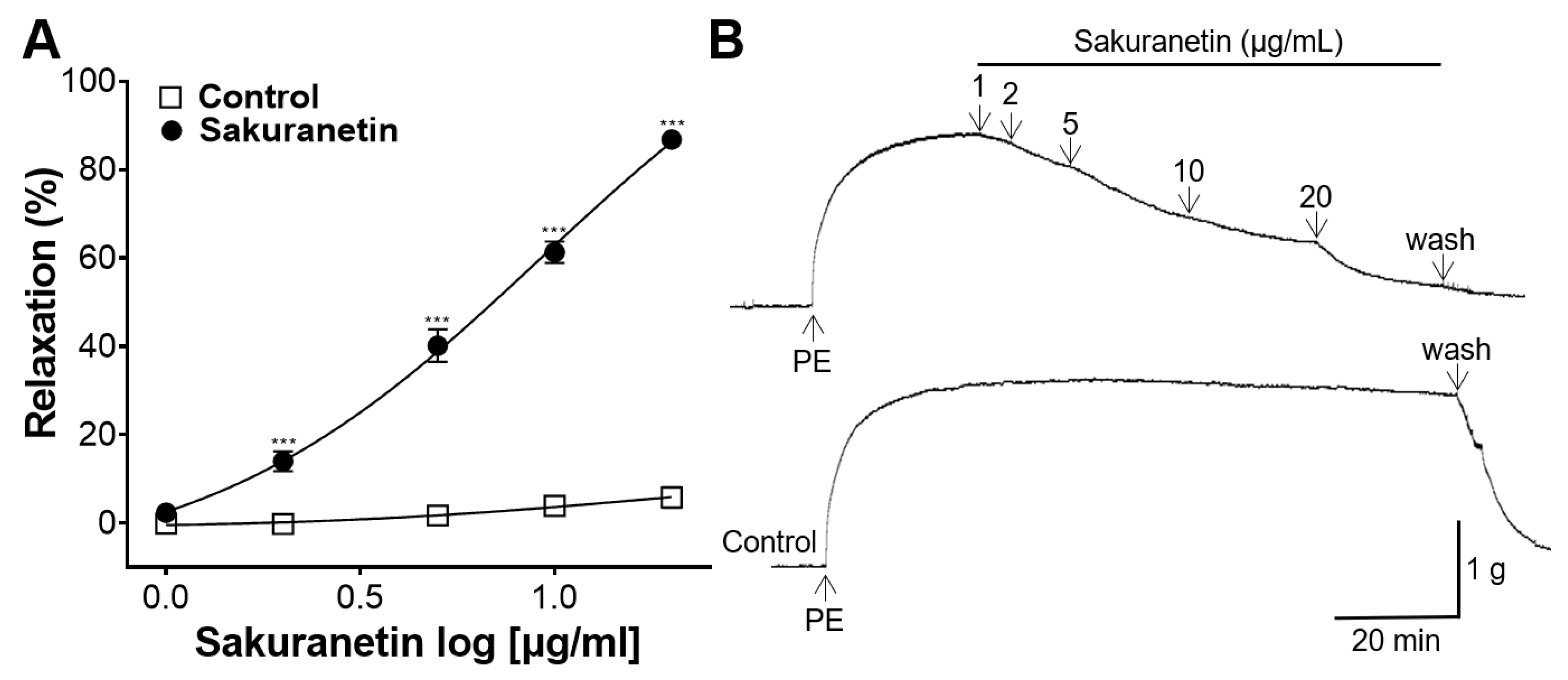 Biomedicines 12 00346 g002
