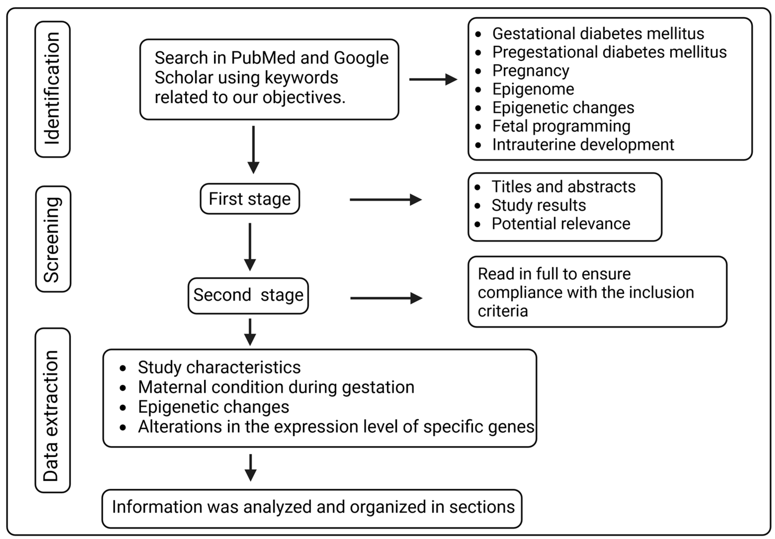 Biomedicines 12 00351 g001