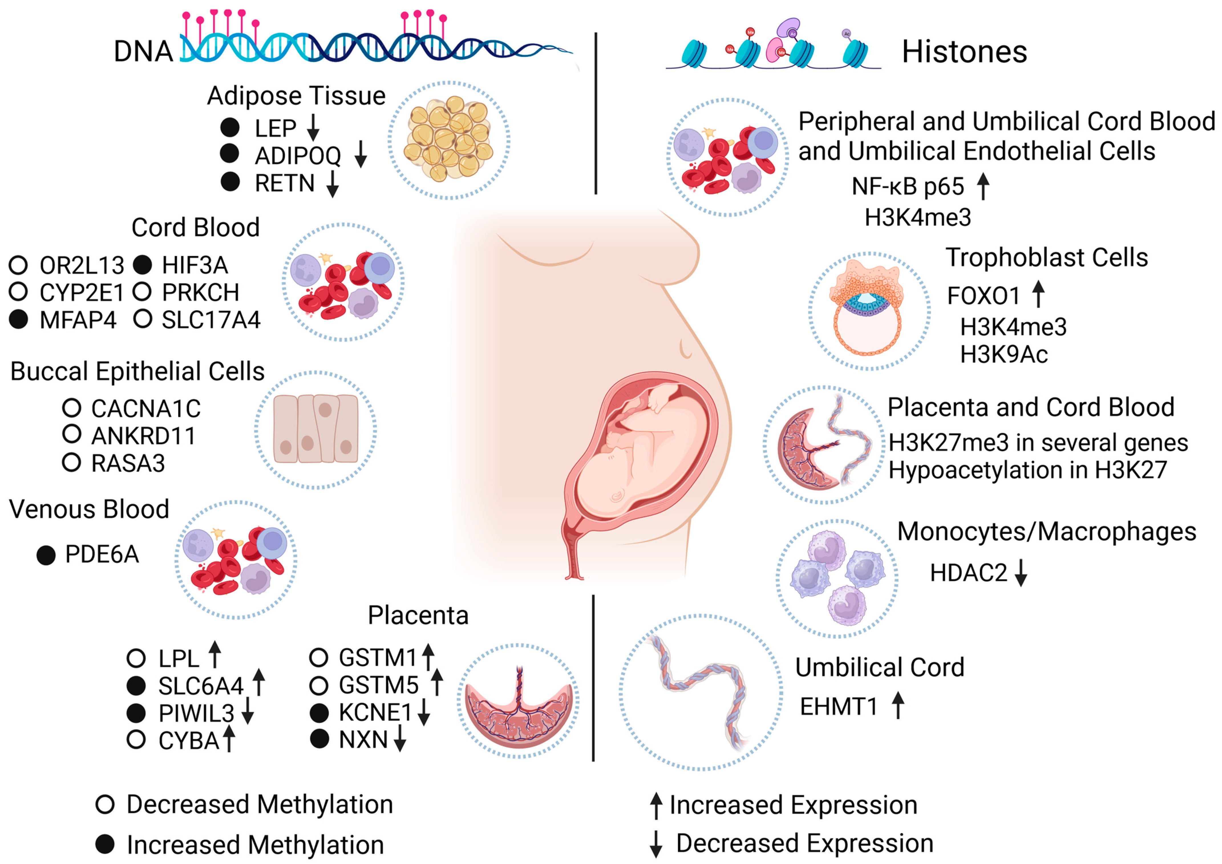Biomedicines 12 00351 g003