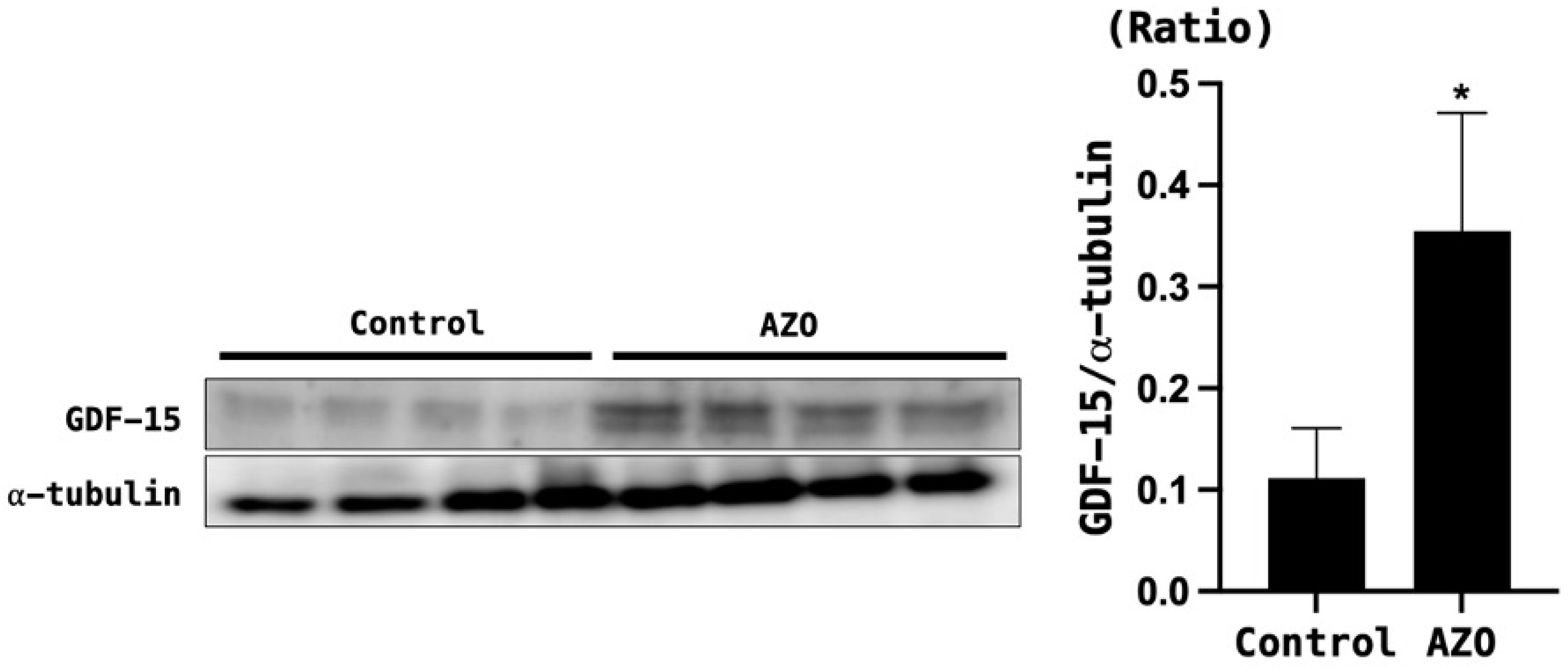Biomedicines 12 00358 g004