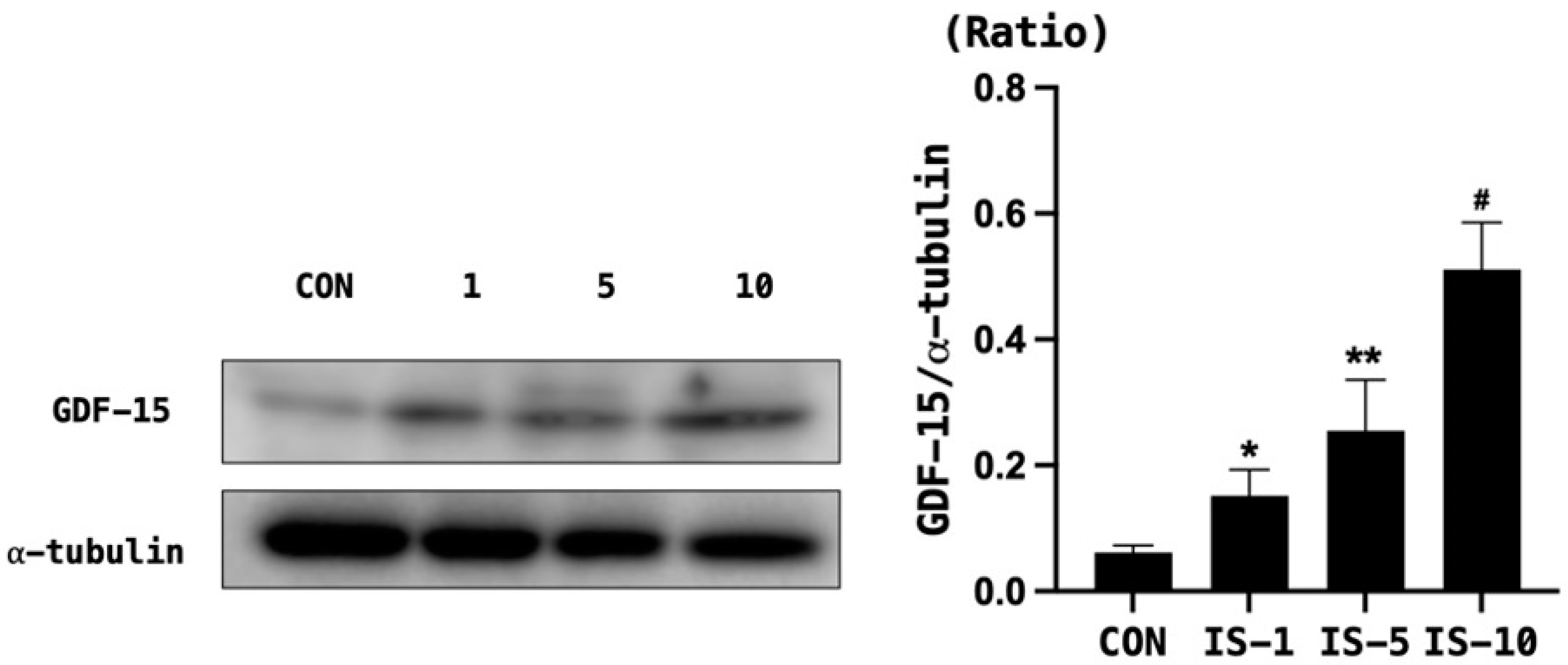 Biomedicines 12 00358 g006