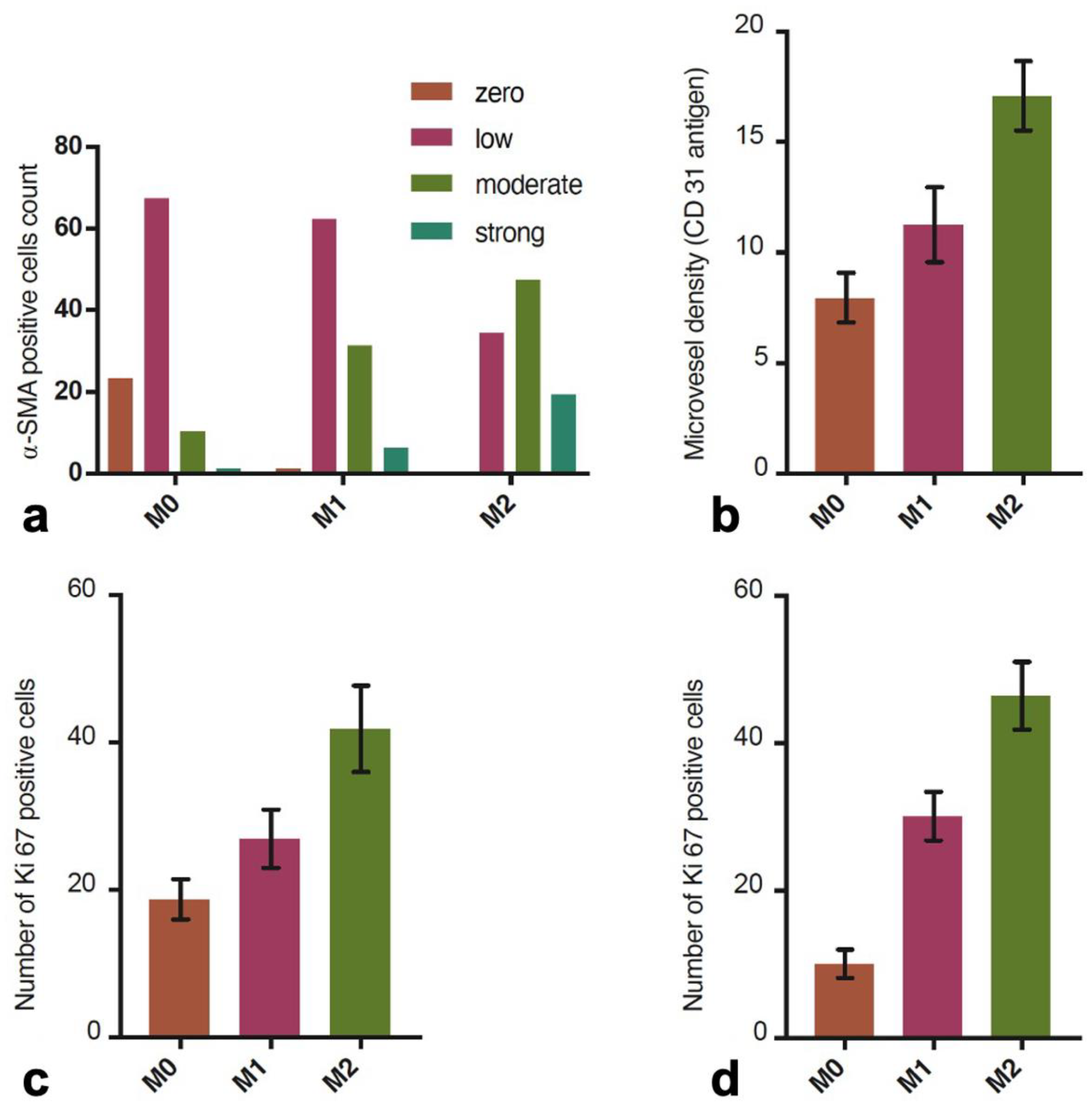 Biomedicines 12 00359 g005 Biomedicines 12 00359 g005
