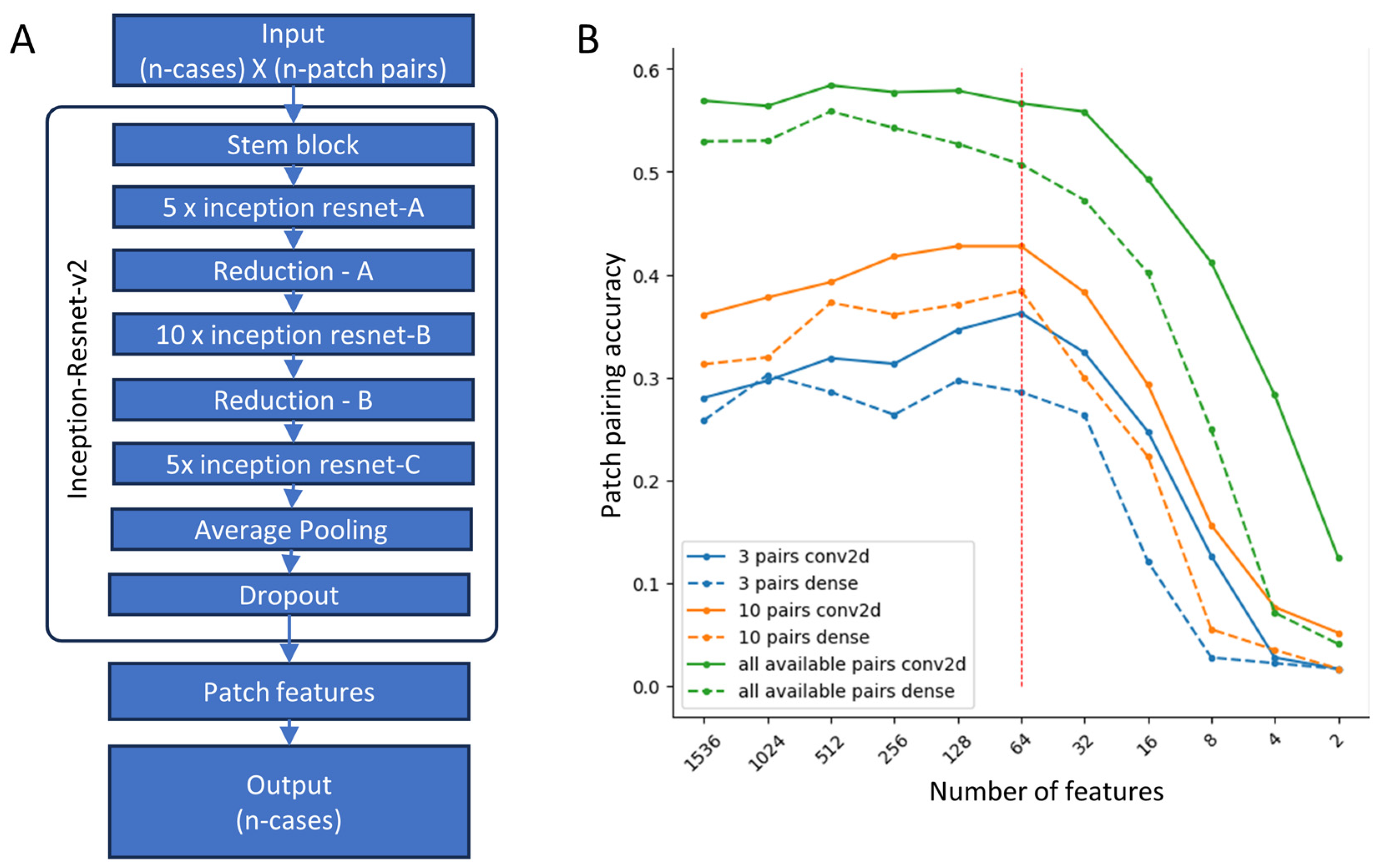 Biomedicines 12 00360 g003