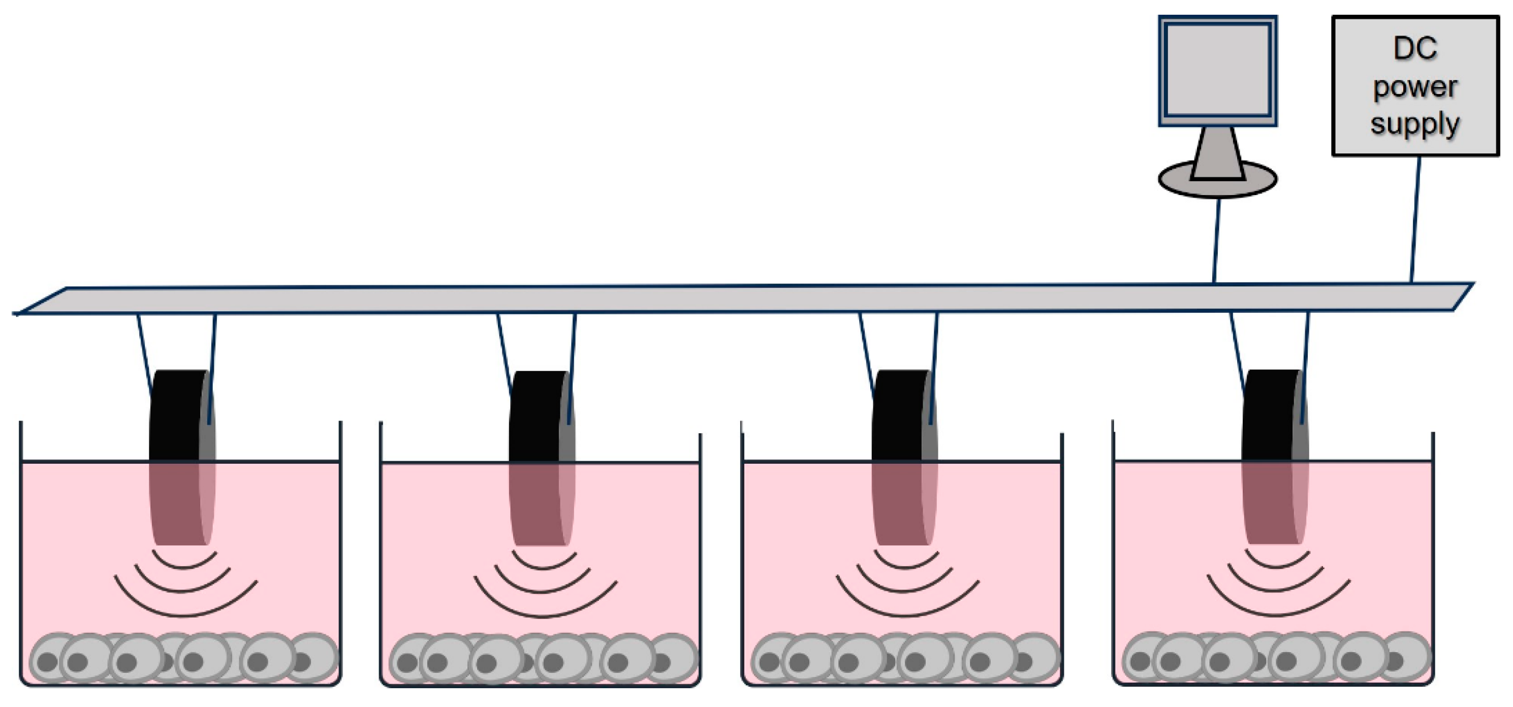 Biomedicines 12 00361 g001 Biomedicines 12 00361 g001