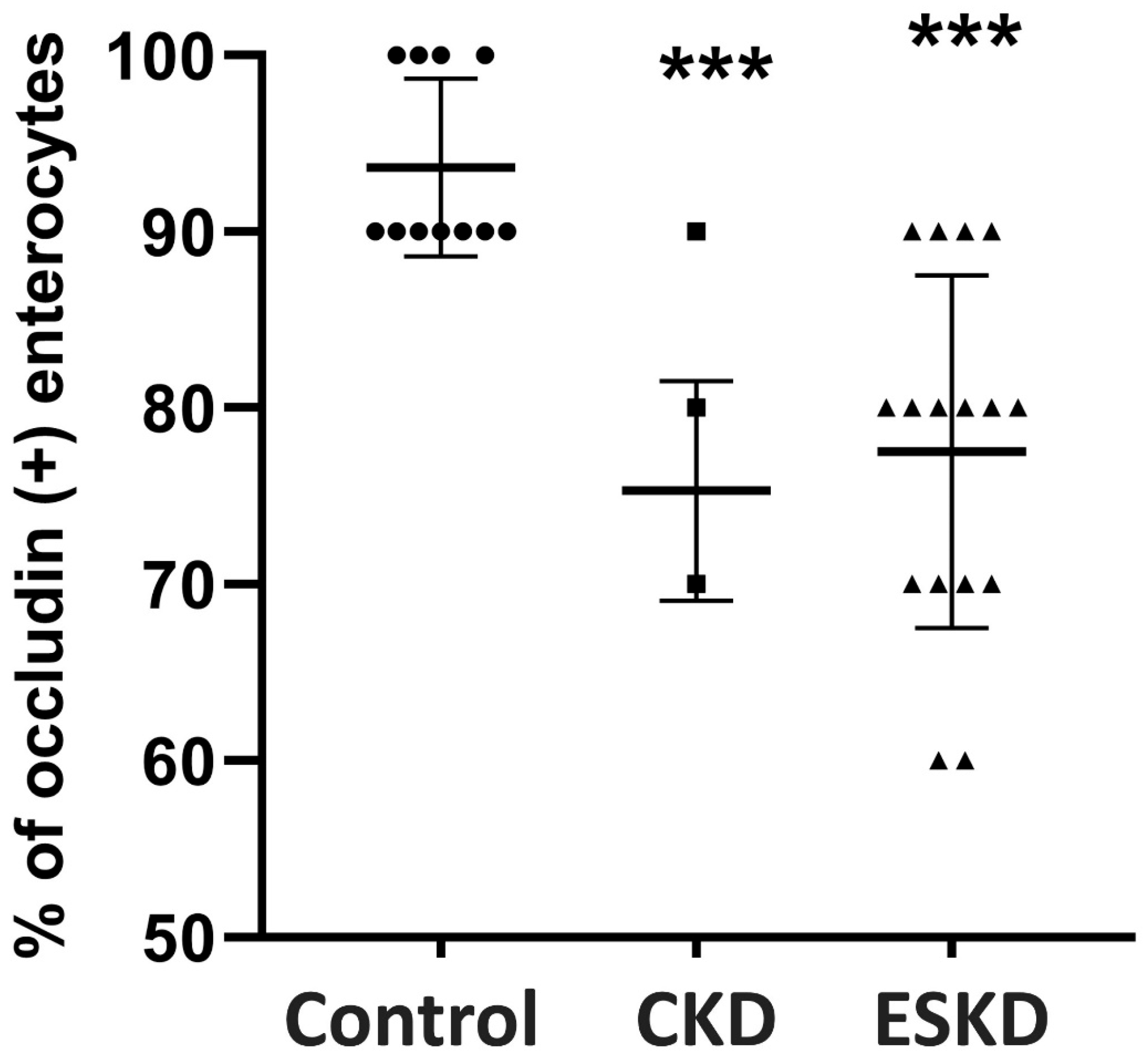 Biomedicines 12 00368 g003