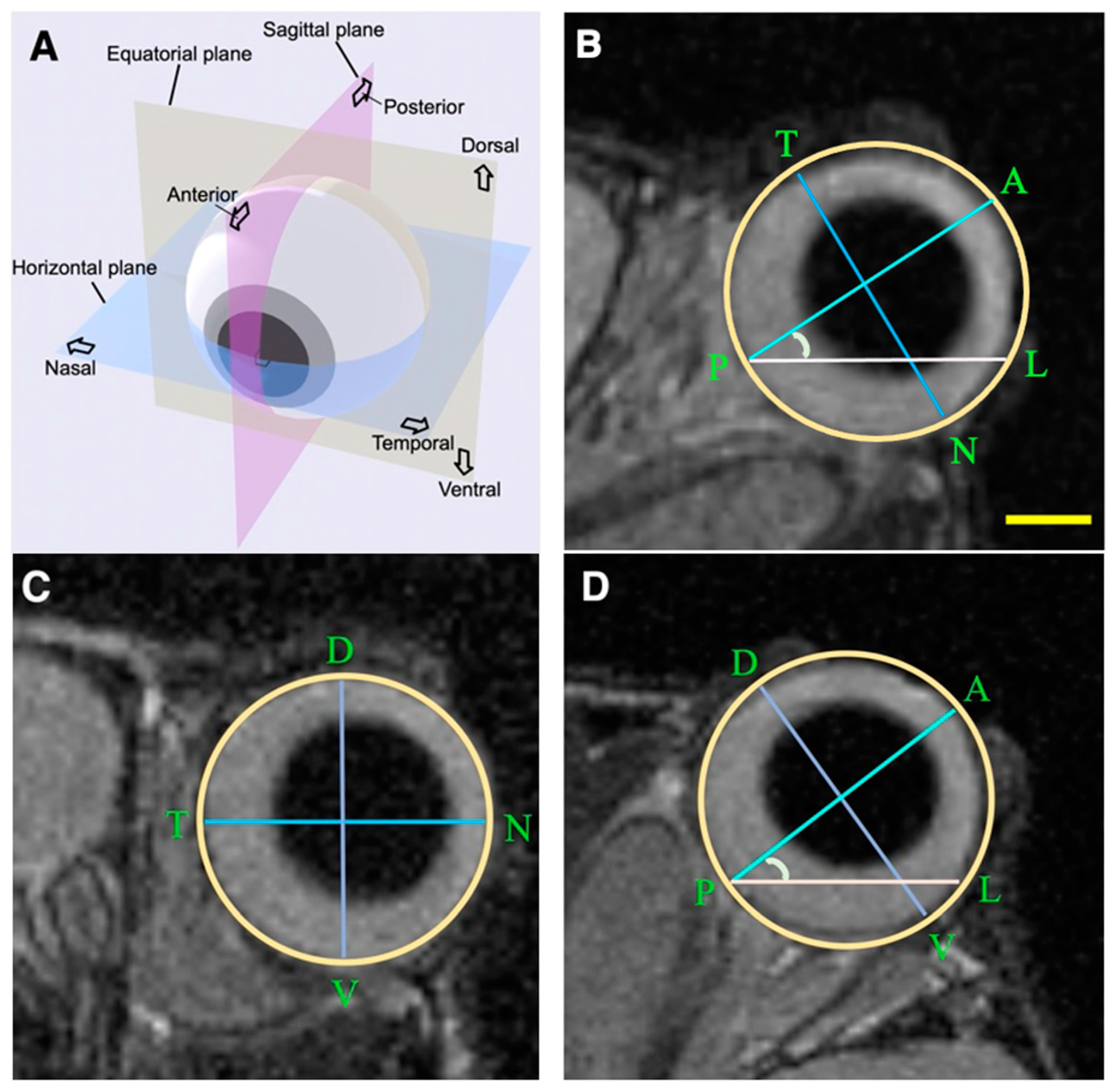 Biomedicines 12 00370 g001