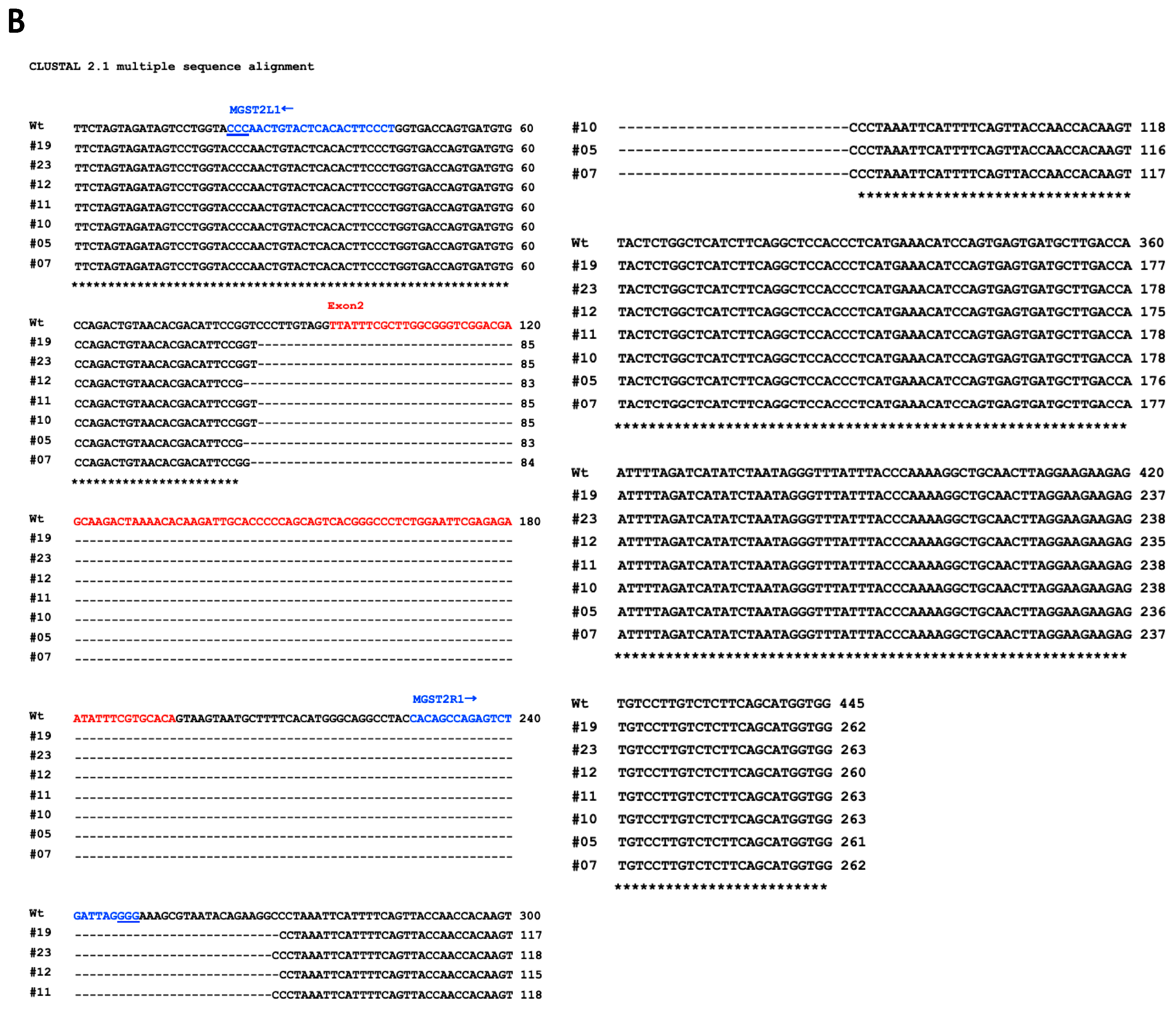Biomedicines 12 00370 g003b