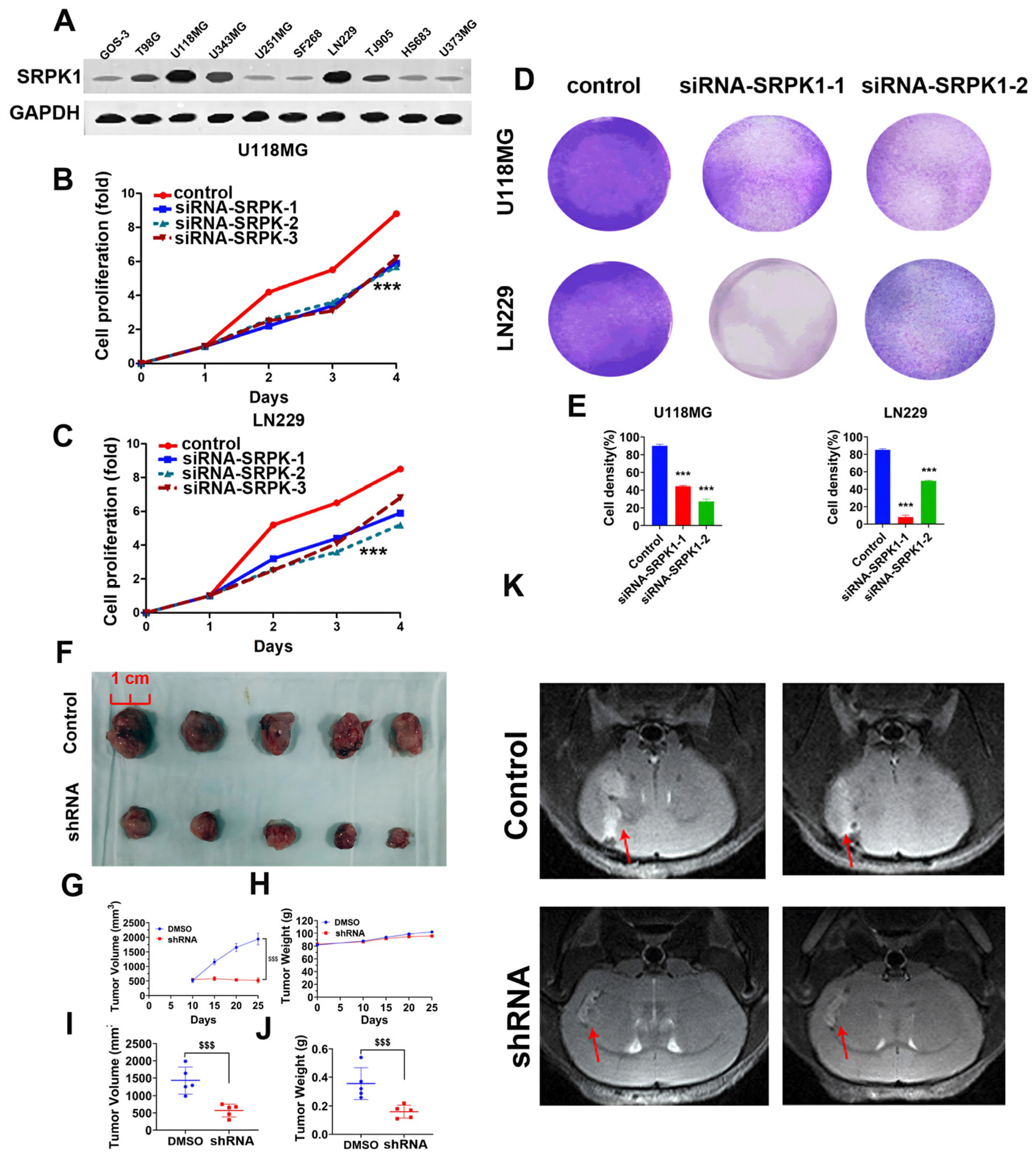 Biomedicines 12 00378 g002