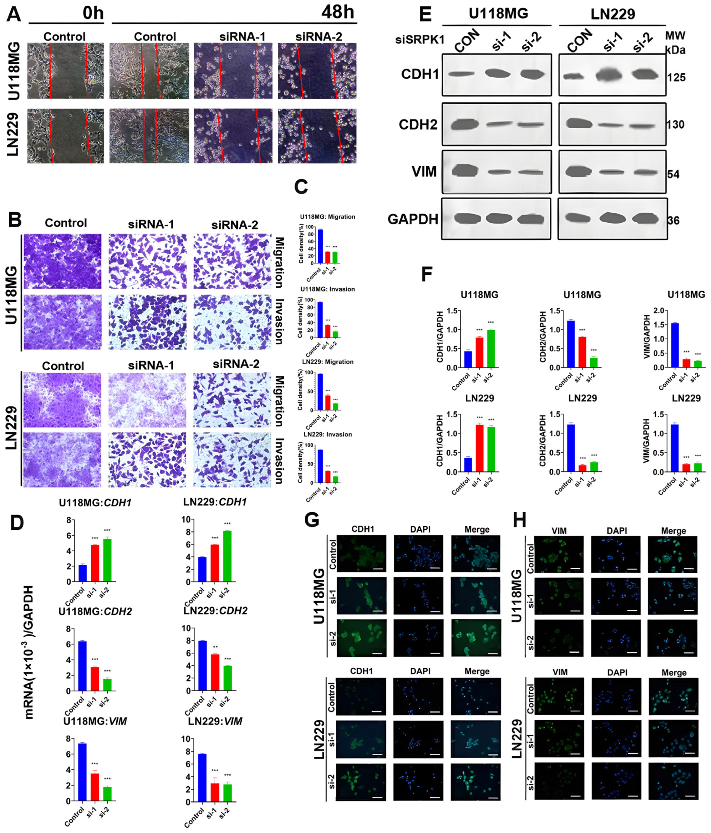 Biomedicines 12 00378 g003