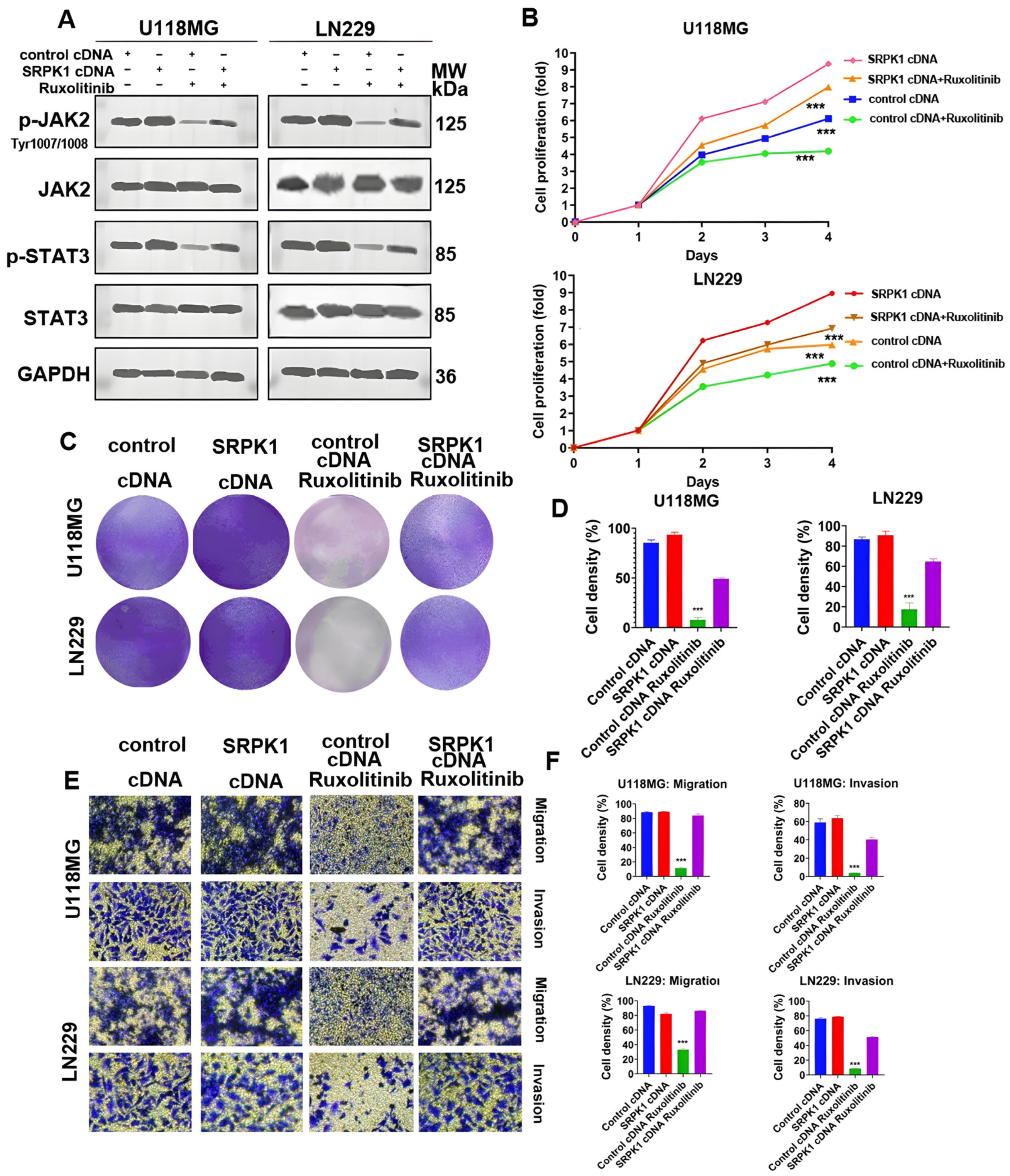 Biomedicines 12 00378 g006