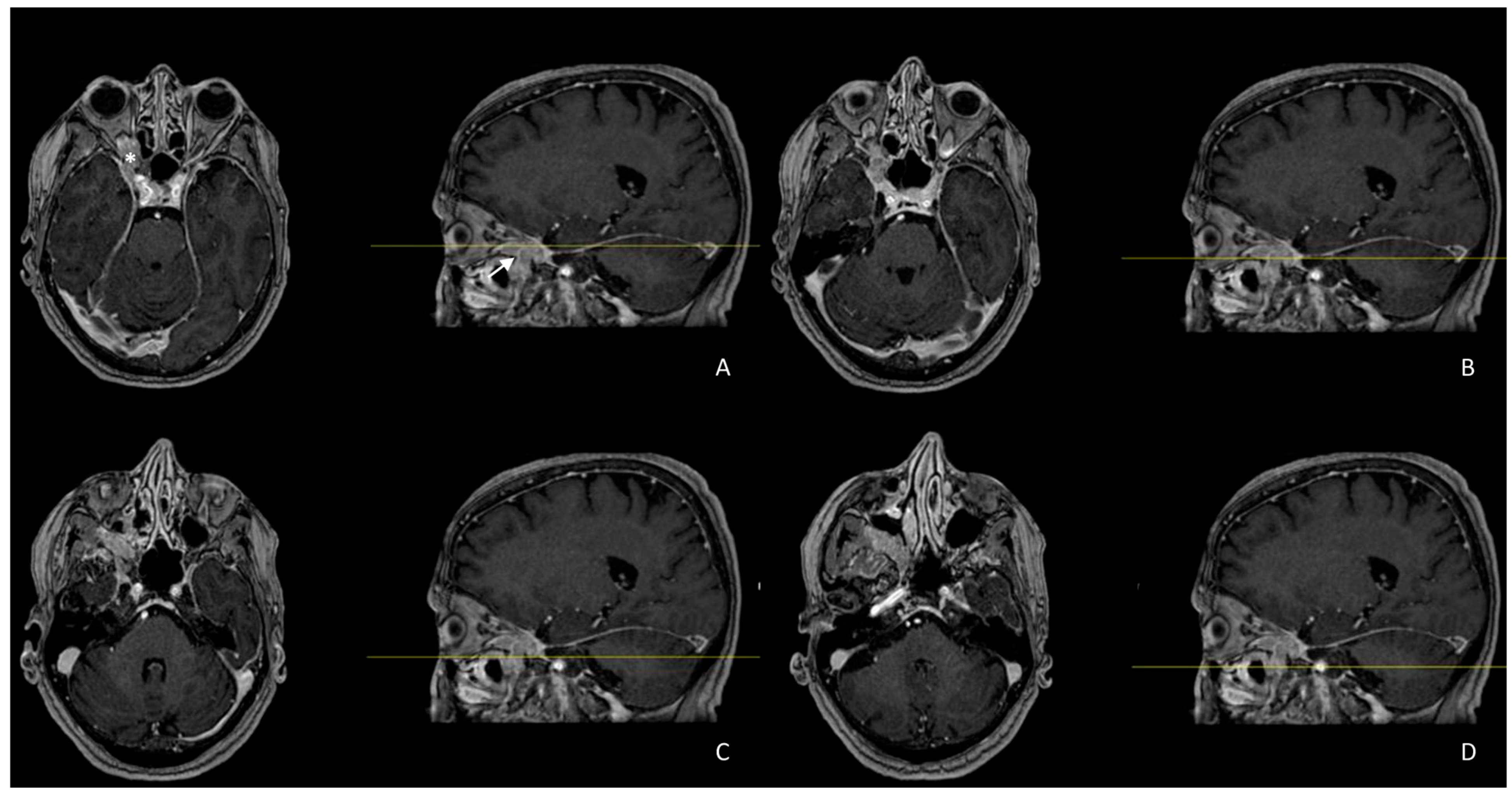 Biomedicines 12 00379 g003
