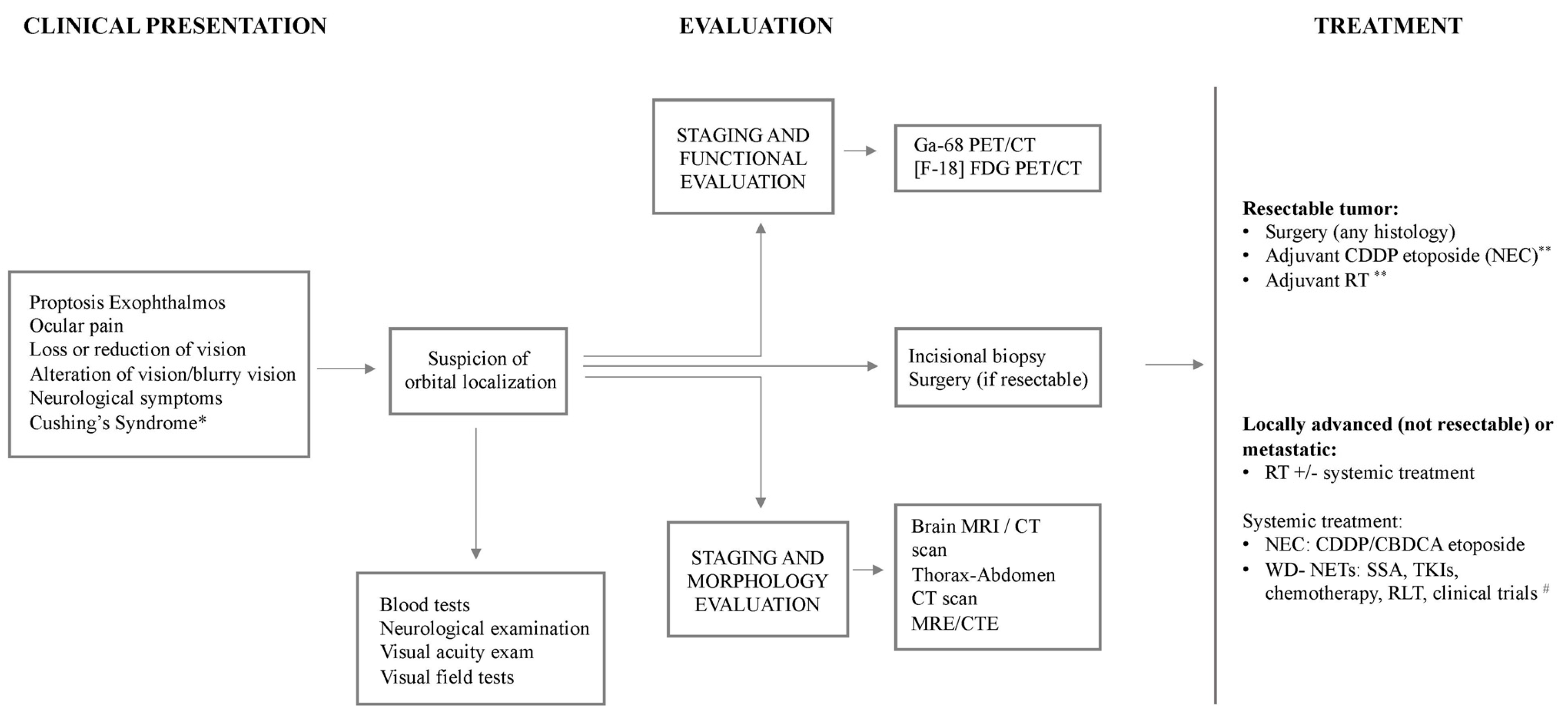 Biomedicines 12 00379 g006