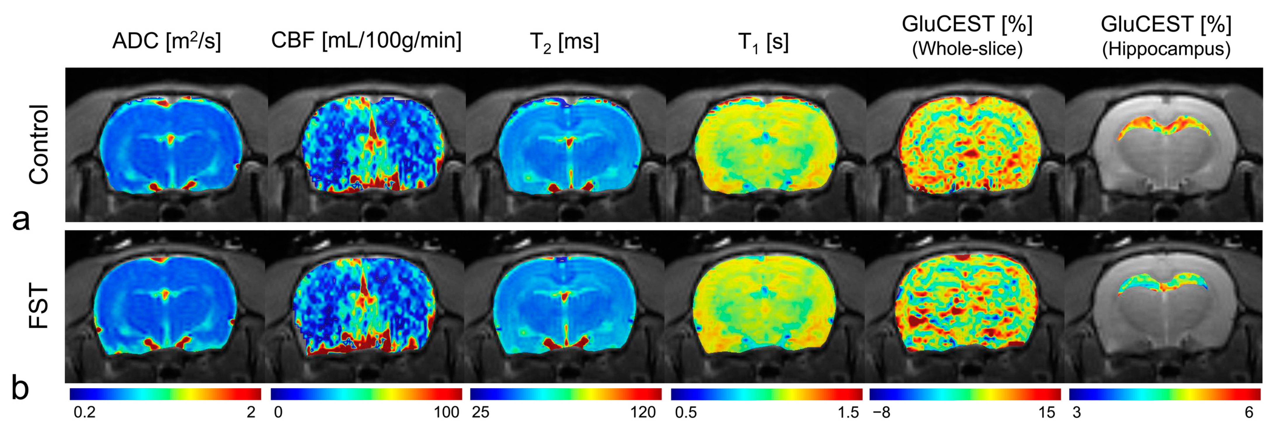 Biomedicines 12 00384 g004