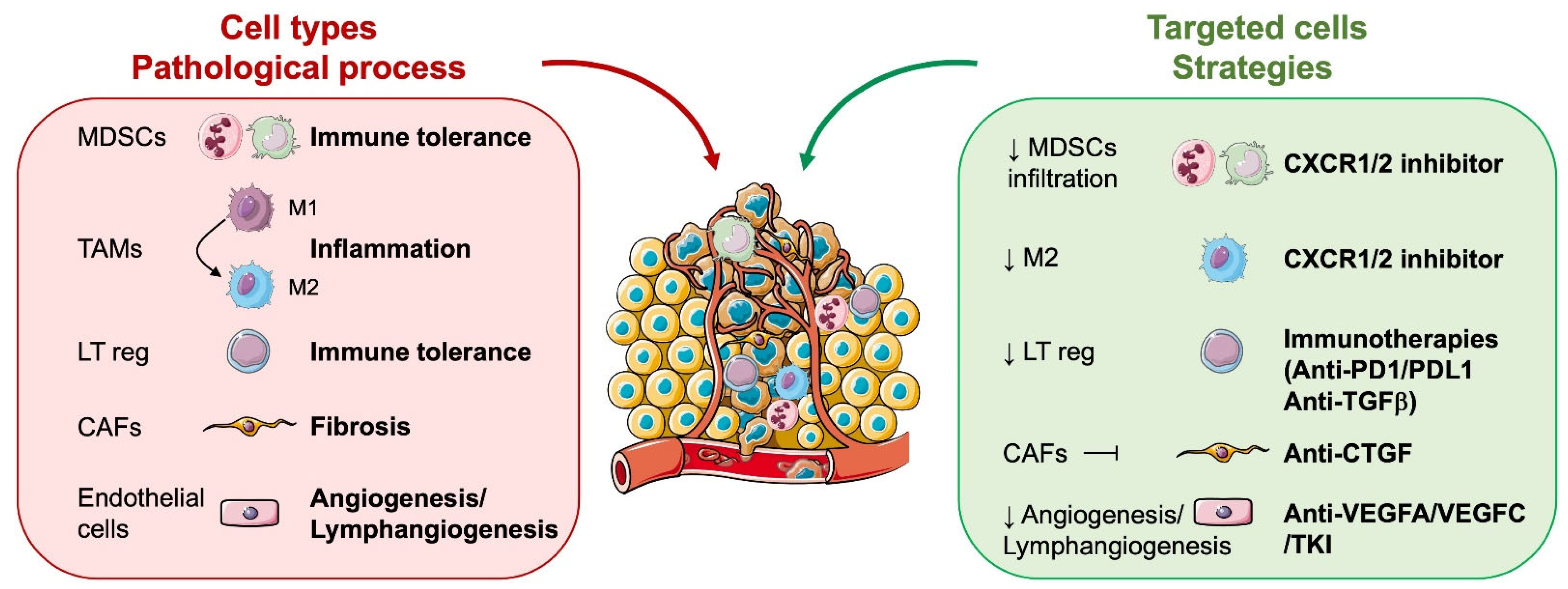 Biomedicines 12 00385 g002 Biomedicines 12 00385 g002