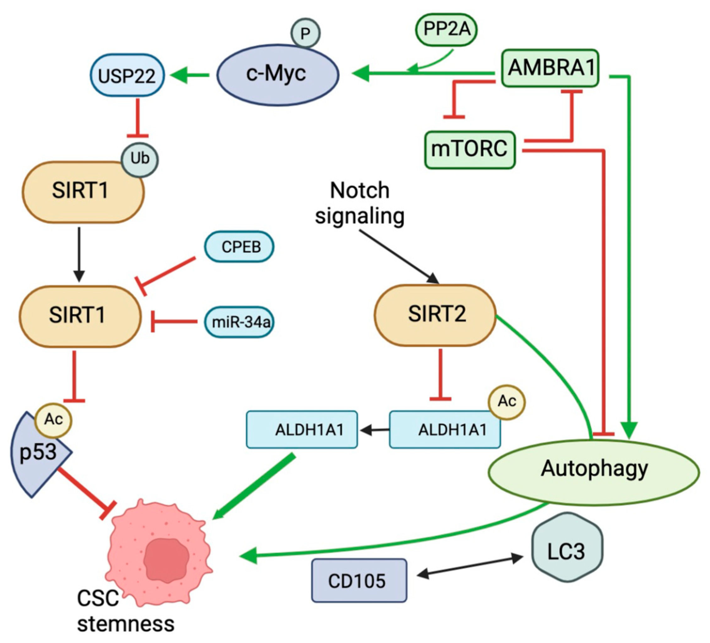 Biomedicines 12 00386 g005