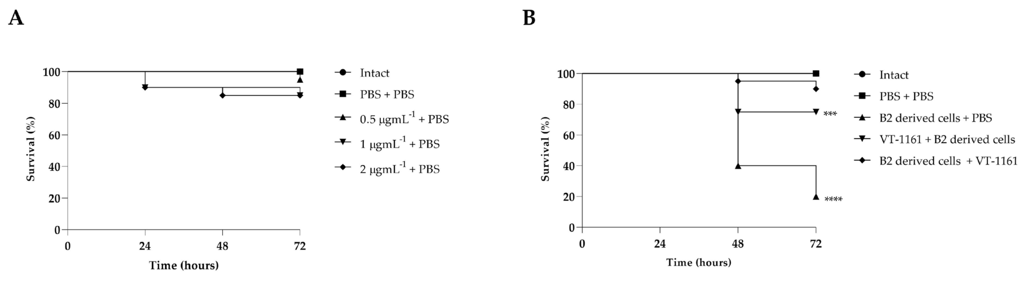 Biomedicines 12 00389 g005